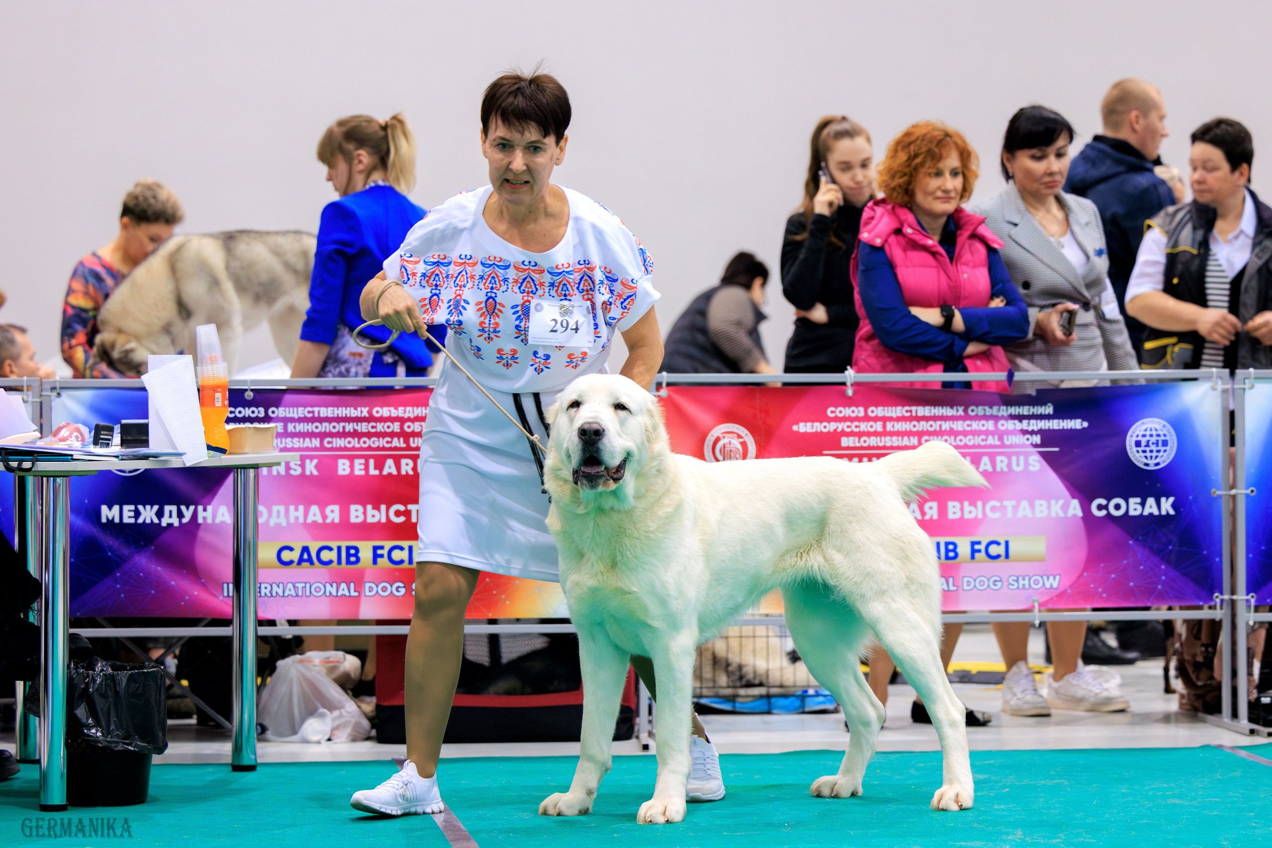 Минск 24-25.02.2024. Фотограф-анималист Юлия Германика