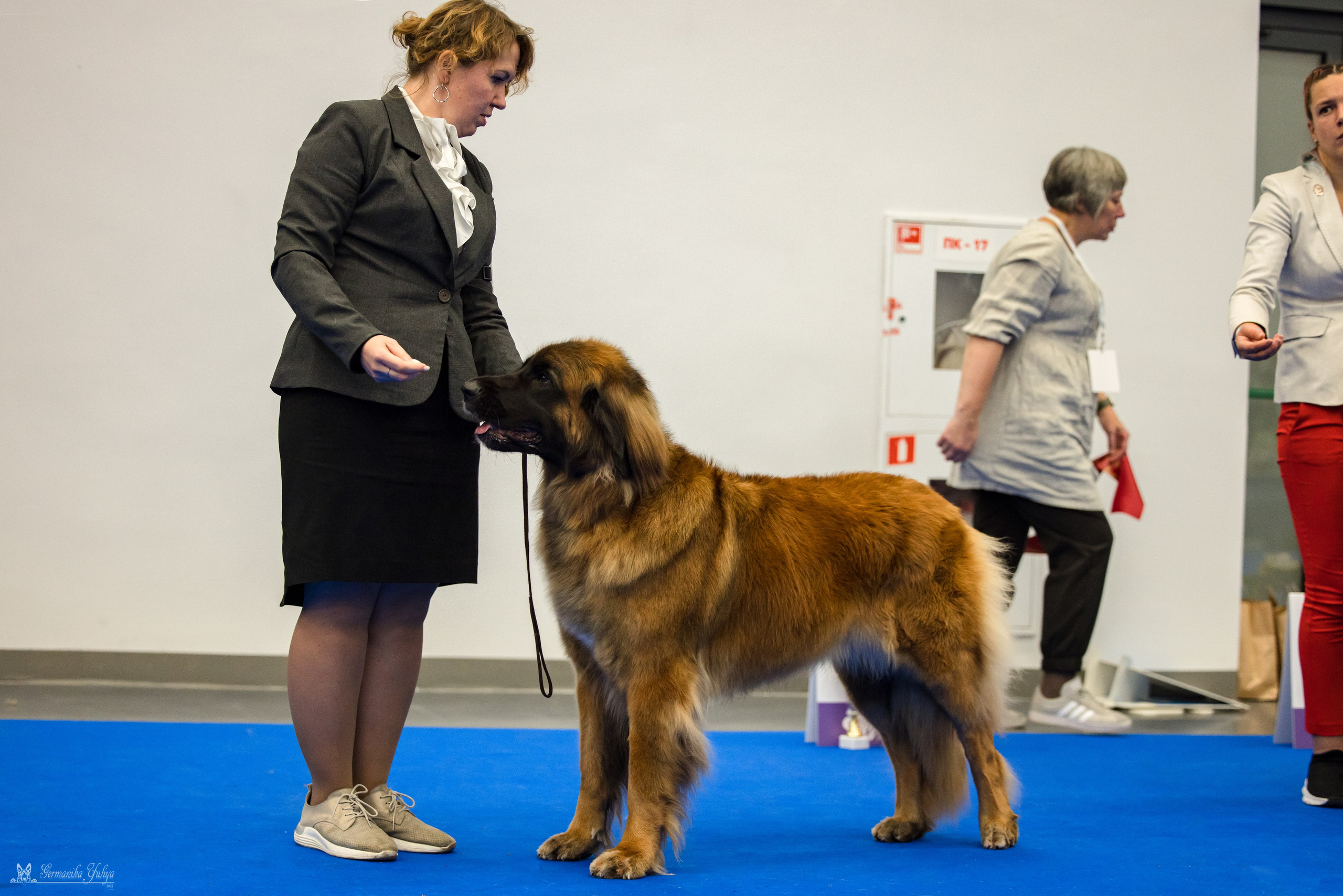 Нижний Новгород 21-22.10.2023. Фотограф-анималист Юлия Германика