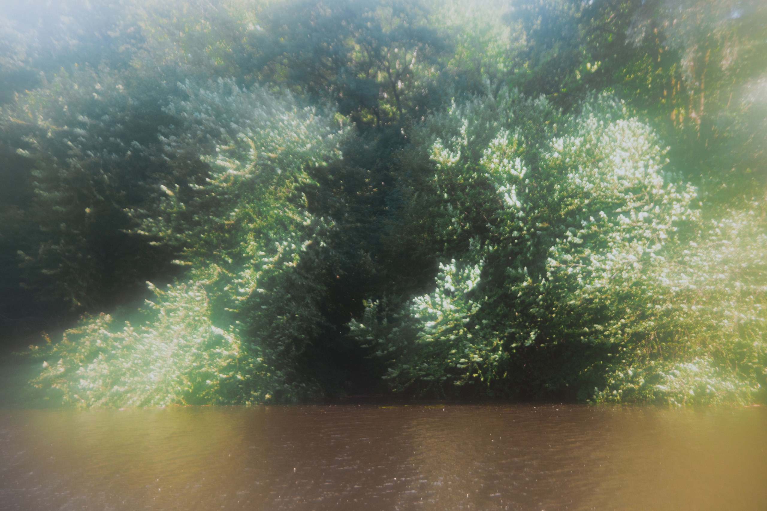 Диана. Анна Мильч