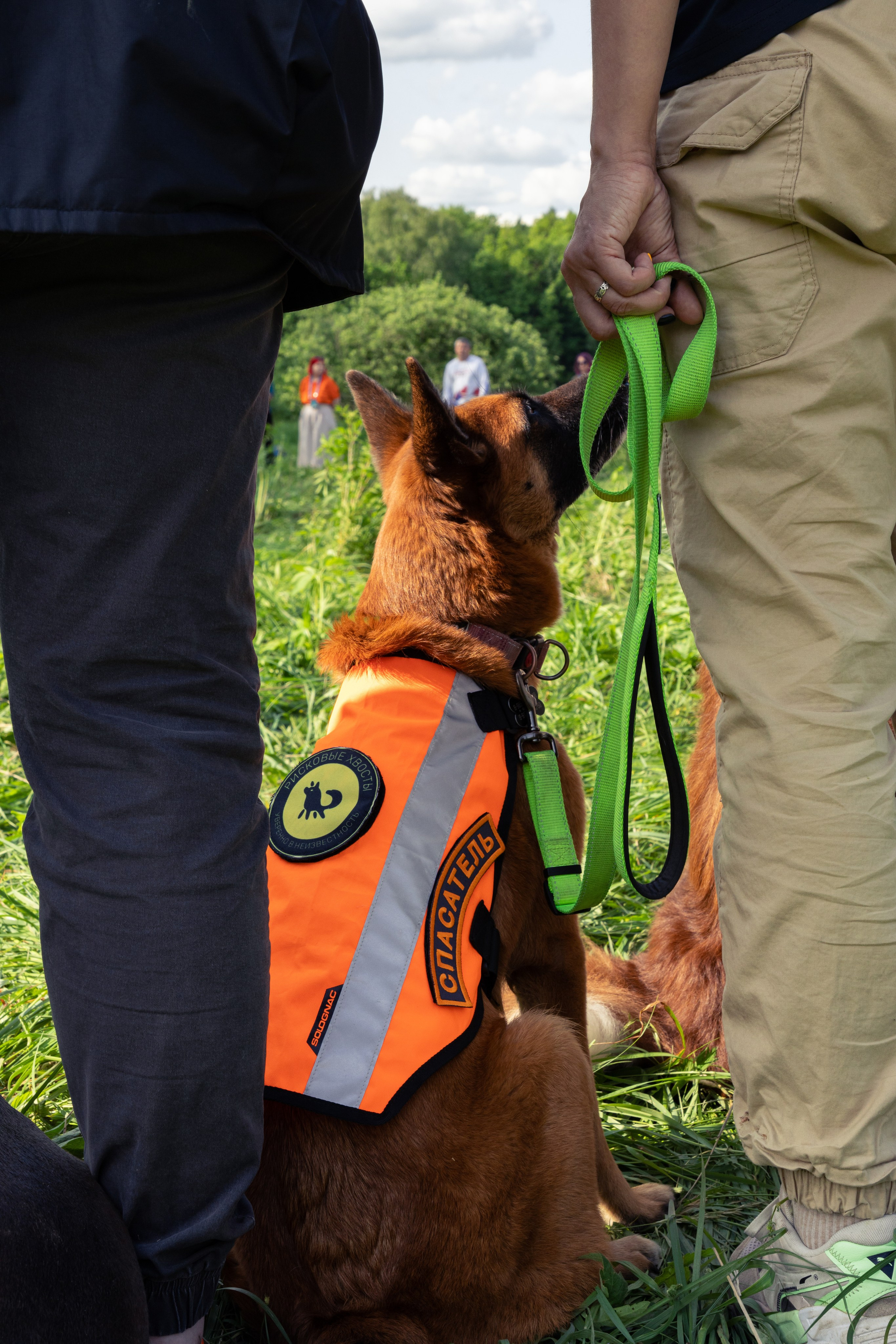ДПСО «ЛизаАлерт». Главная