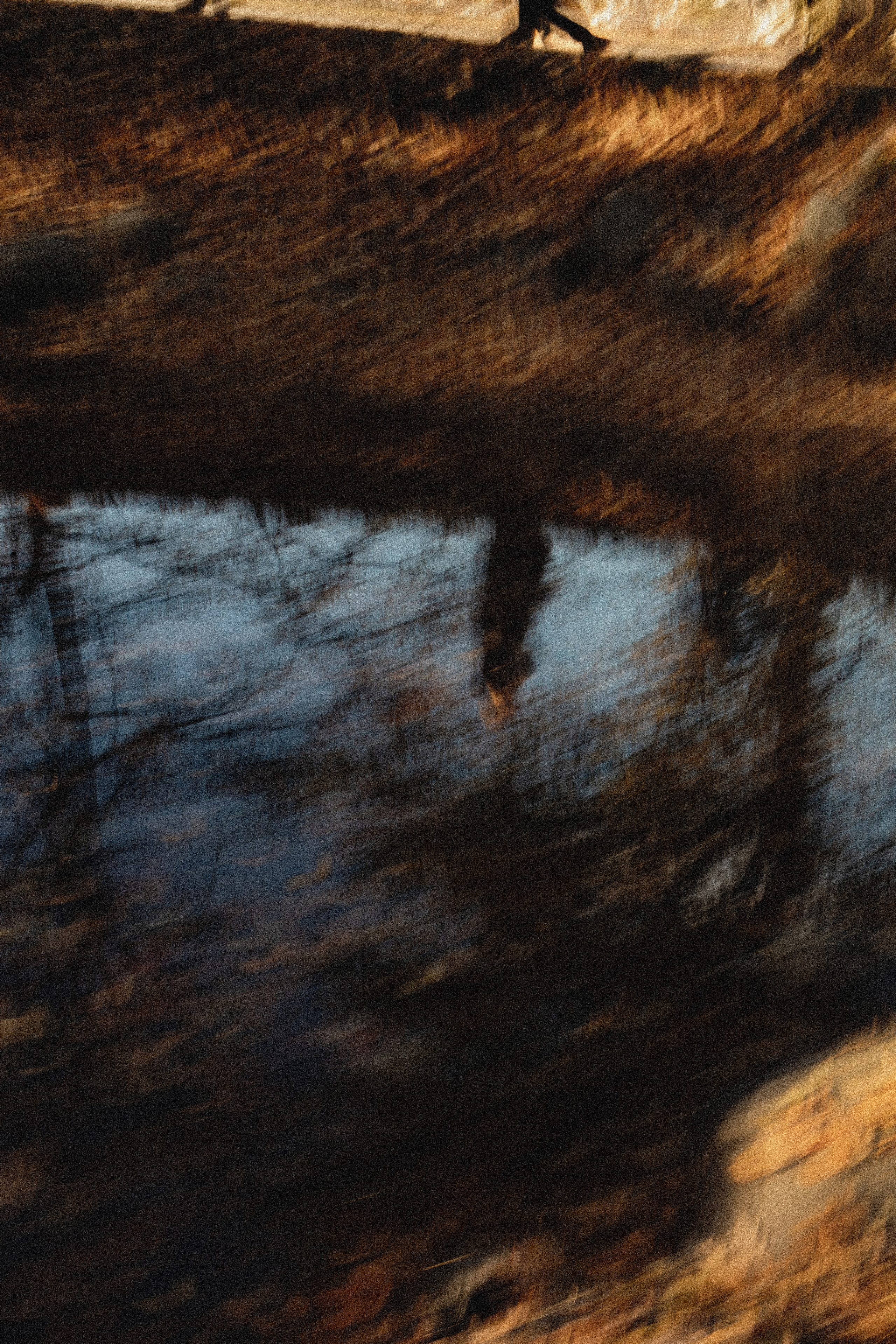 В преддверии. . . История Марины. Виноградова Маргарита. Фотограф P r o Явления