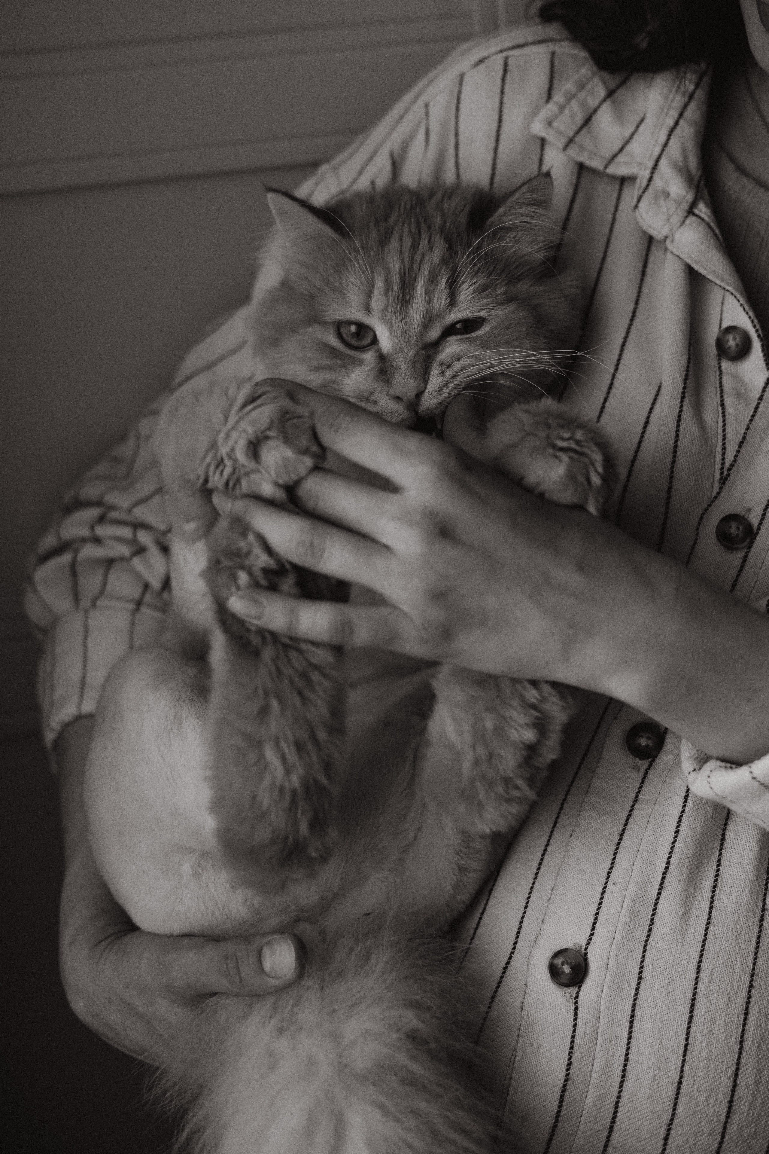 История для Ксюши и Паши. Семейный и свадебный фотограф в Чите Мария Авдеева