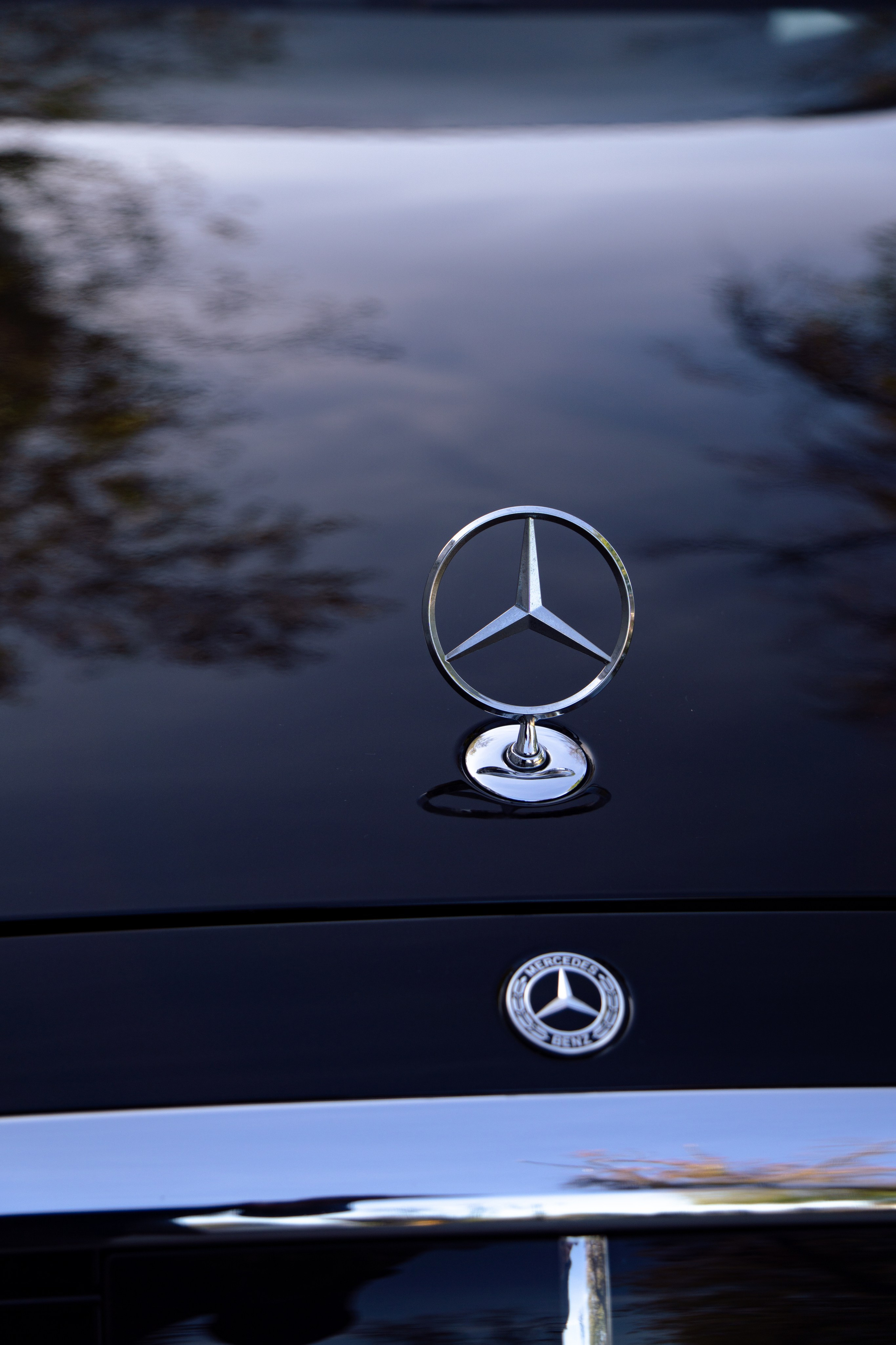 Дарья и Роман. Фотограф Альберт Черных