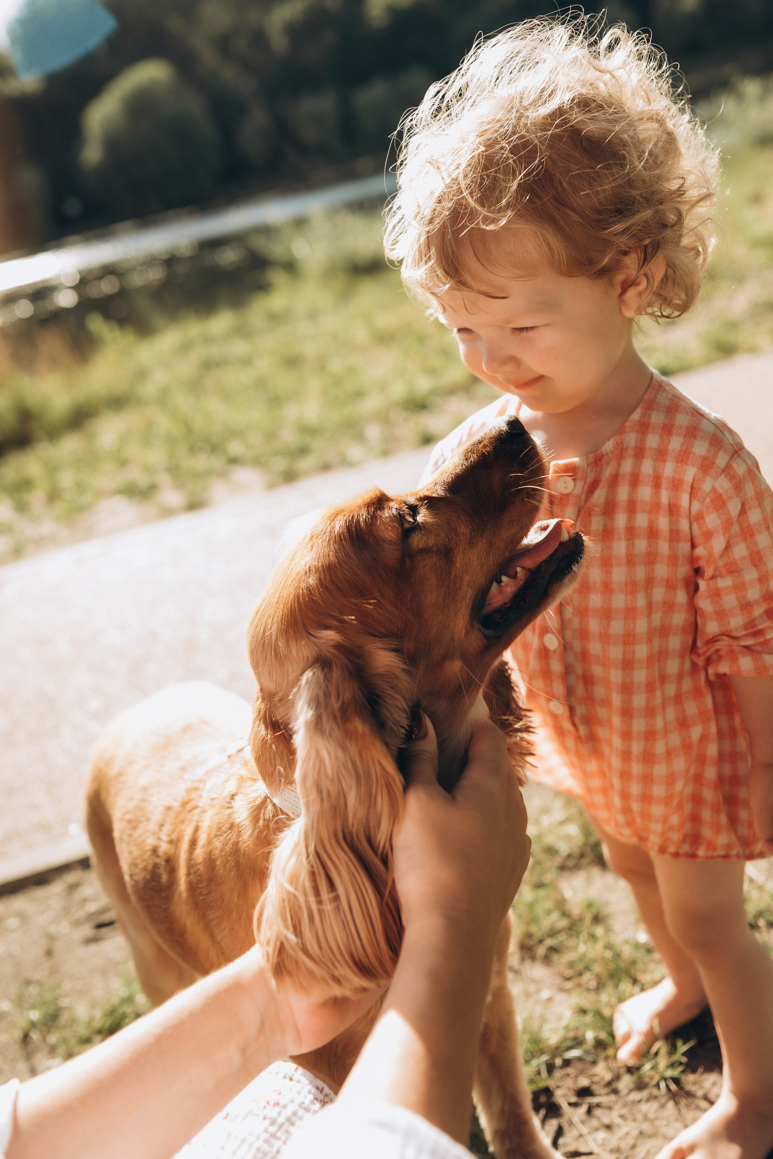 Летняя в Покровское-Стрешнево. Женский и семейный фотограф в Москве и Красногорске Светлана Левченко