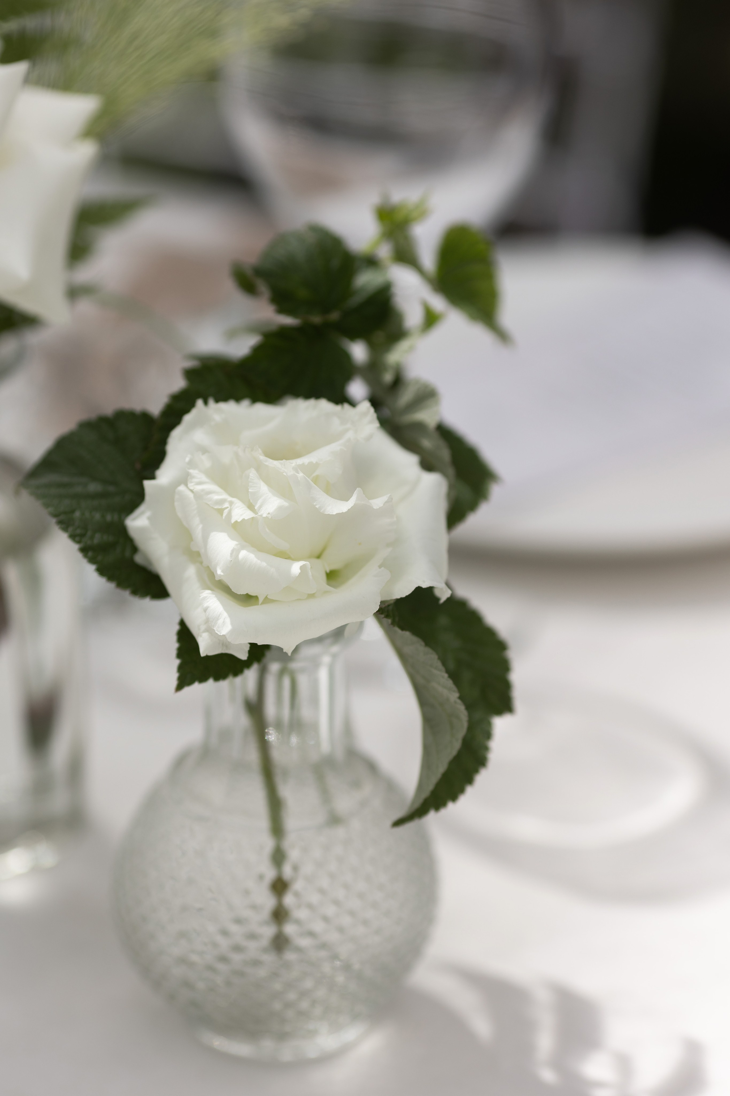 Только МЫ Михаил+Алина. Свадебный фотограф Воронеж Москва СПБ