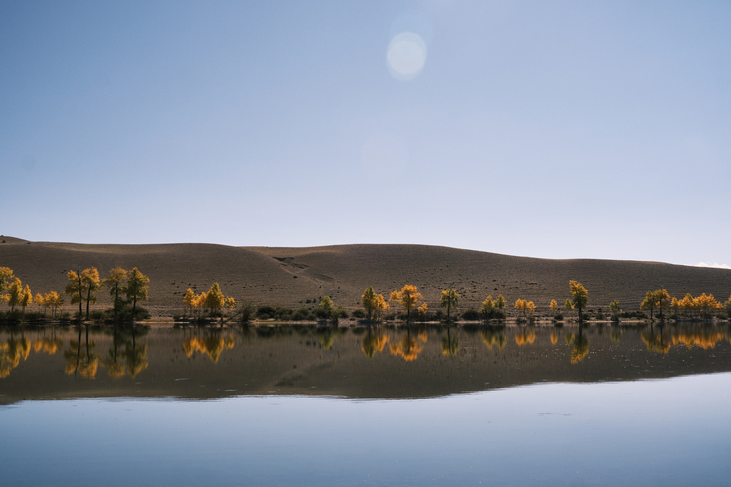 Природа. Антон Ив