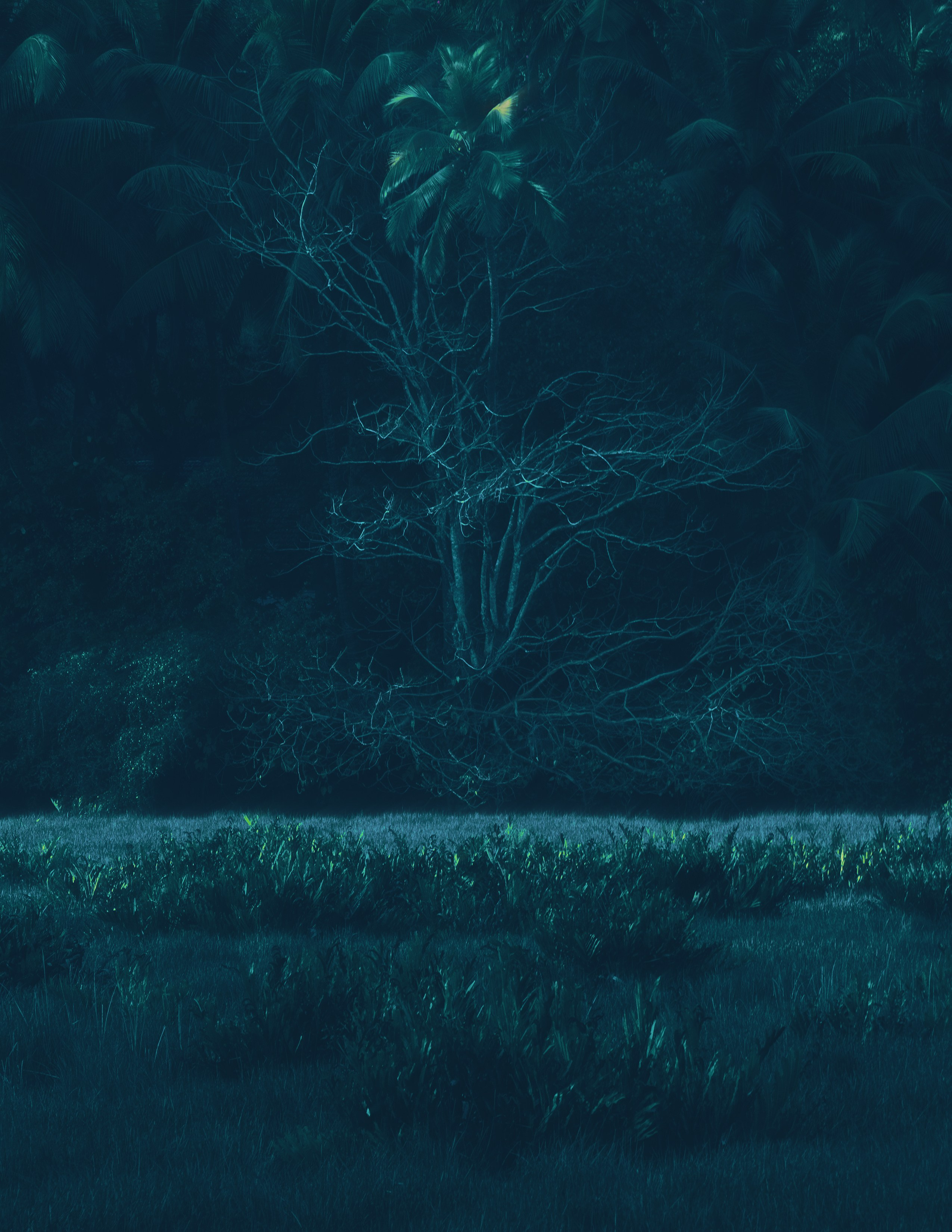 Вне серий. Художественная фотография в Санкт-Петербурге Алина Берёзкина