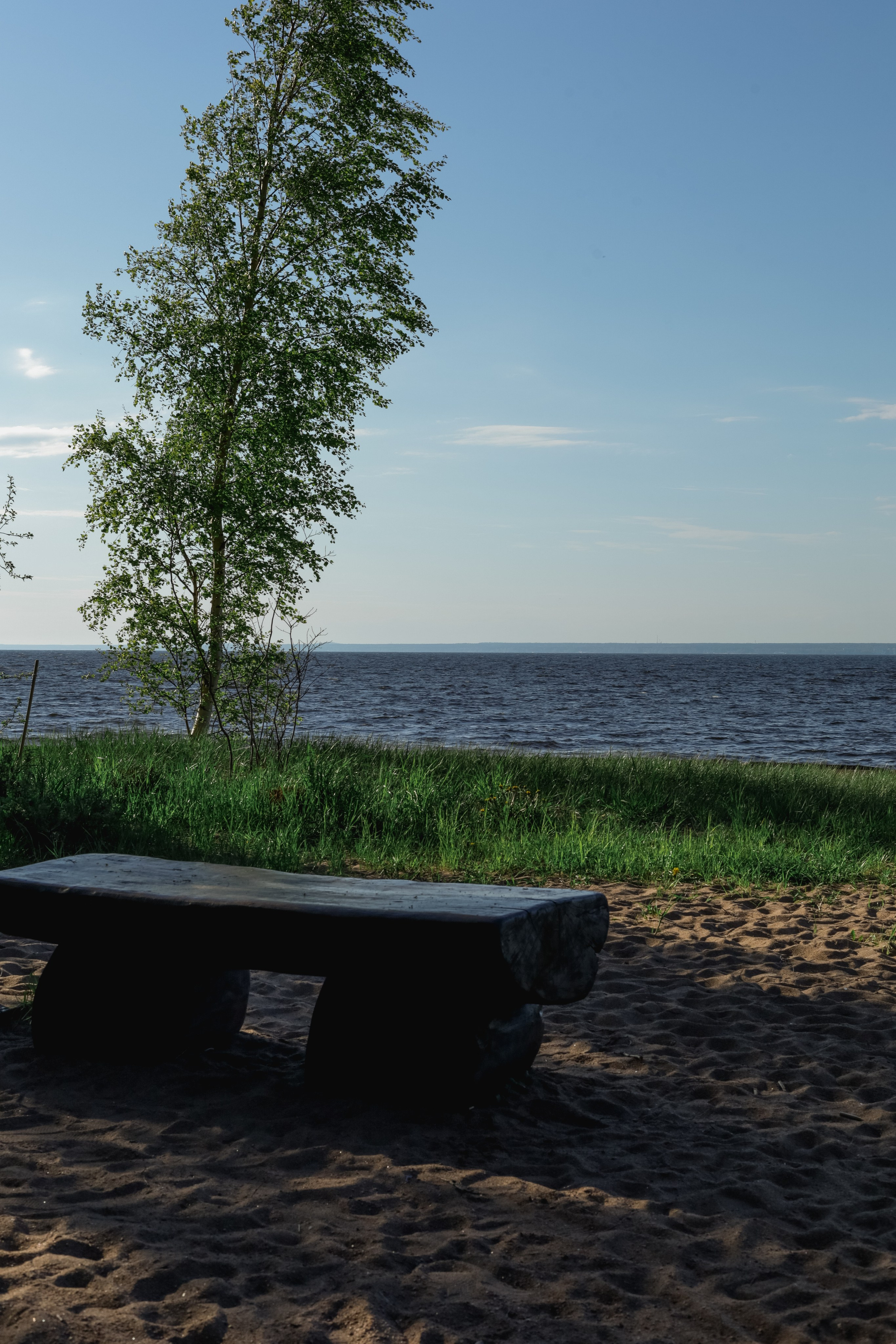 Природа &. Фотохудожник в СПб