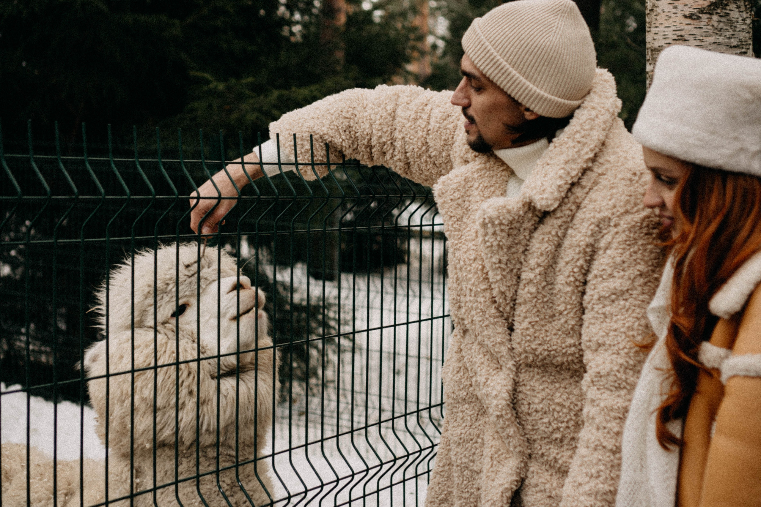 Каток. Профессиональный фотограф, Санкт-Петербург — Виктория Богомолова