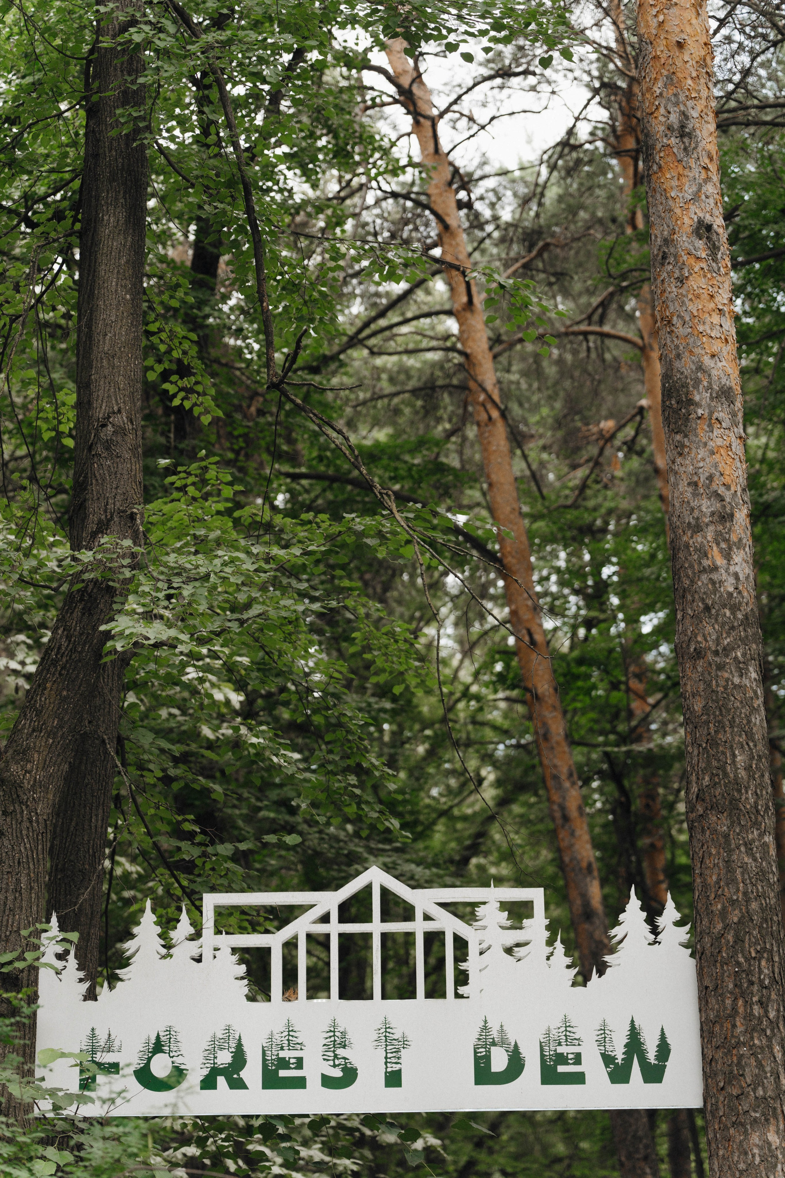 Евгений и Александра. Фотограф/ видеограф Катя Ильина Калуга