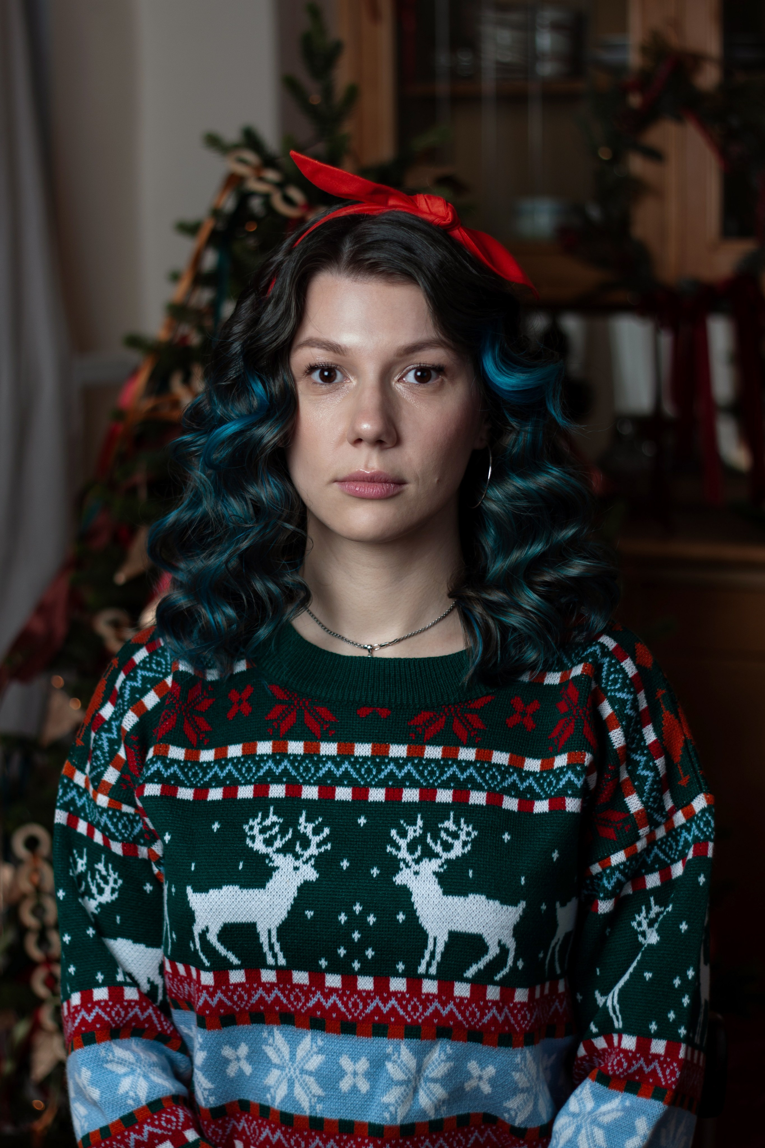 Новогодние собаки. Фотограф в Санкт-Петербурге Рейдер Дарья