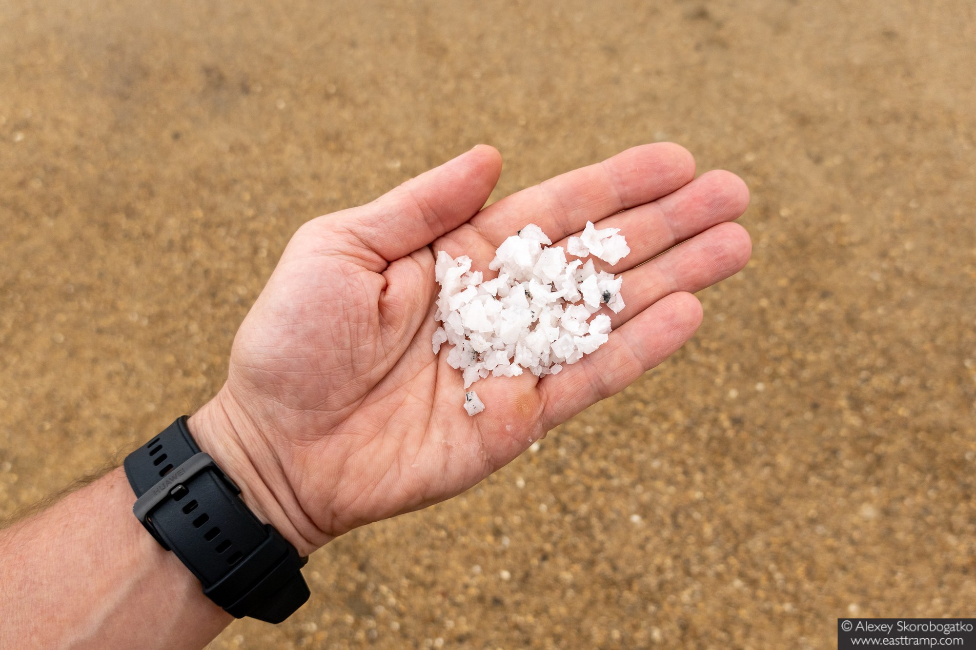 Археологические раскопки некрополя Кыз-Аул в Крыму. Фотограф Алексей Скоробогатько