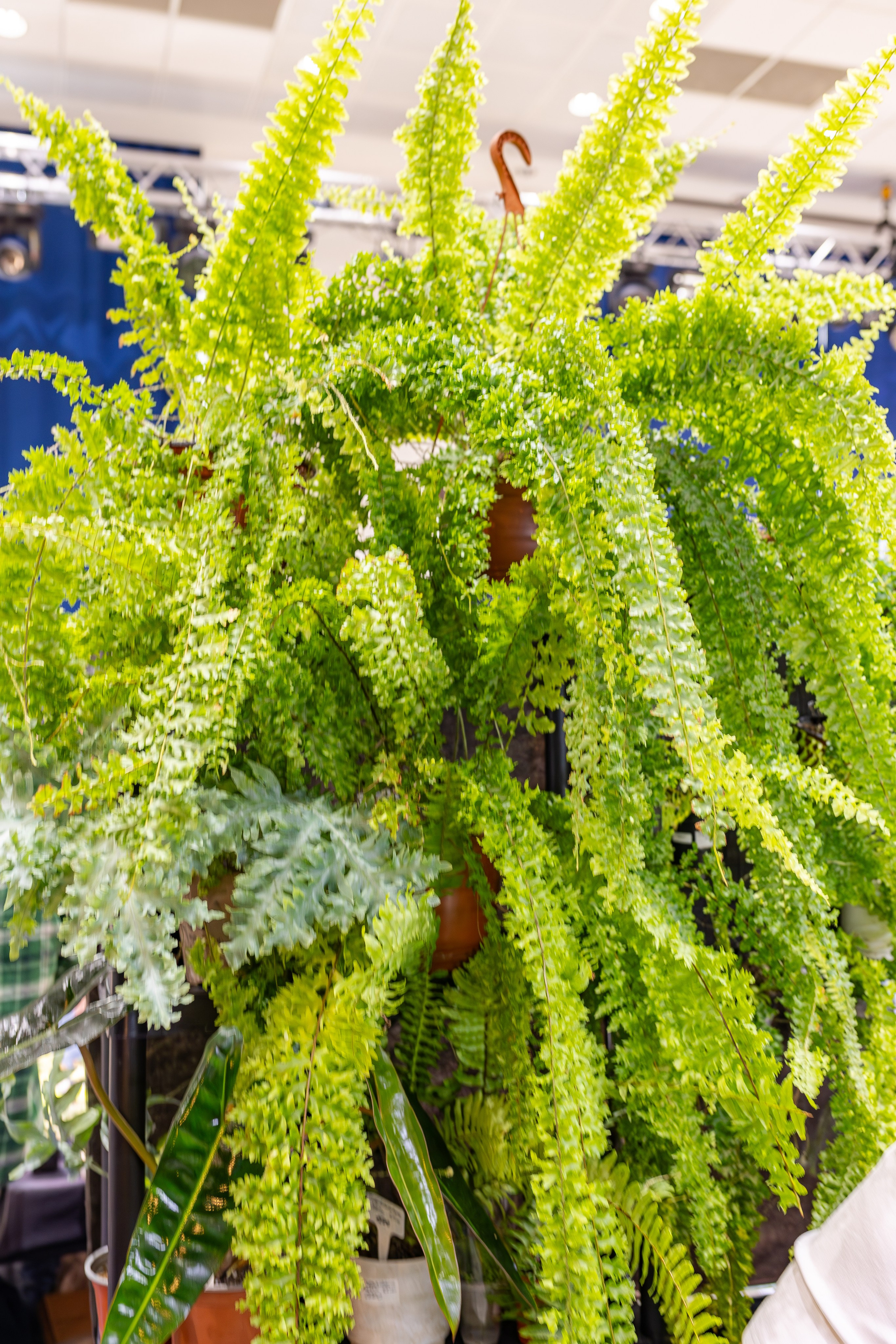 Монстериум апрель 2026. Александра Куликова фотограф, Москва