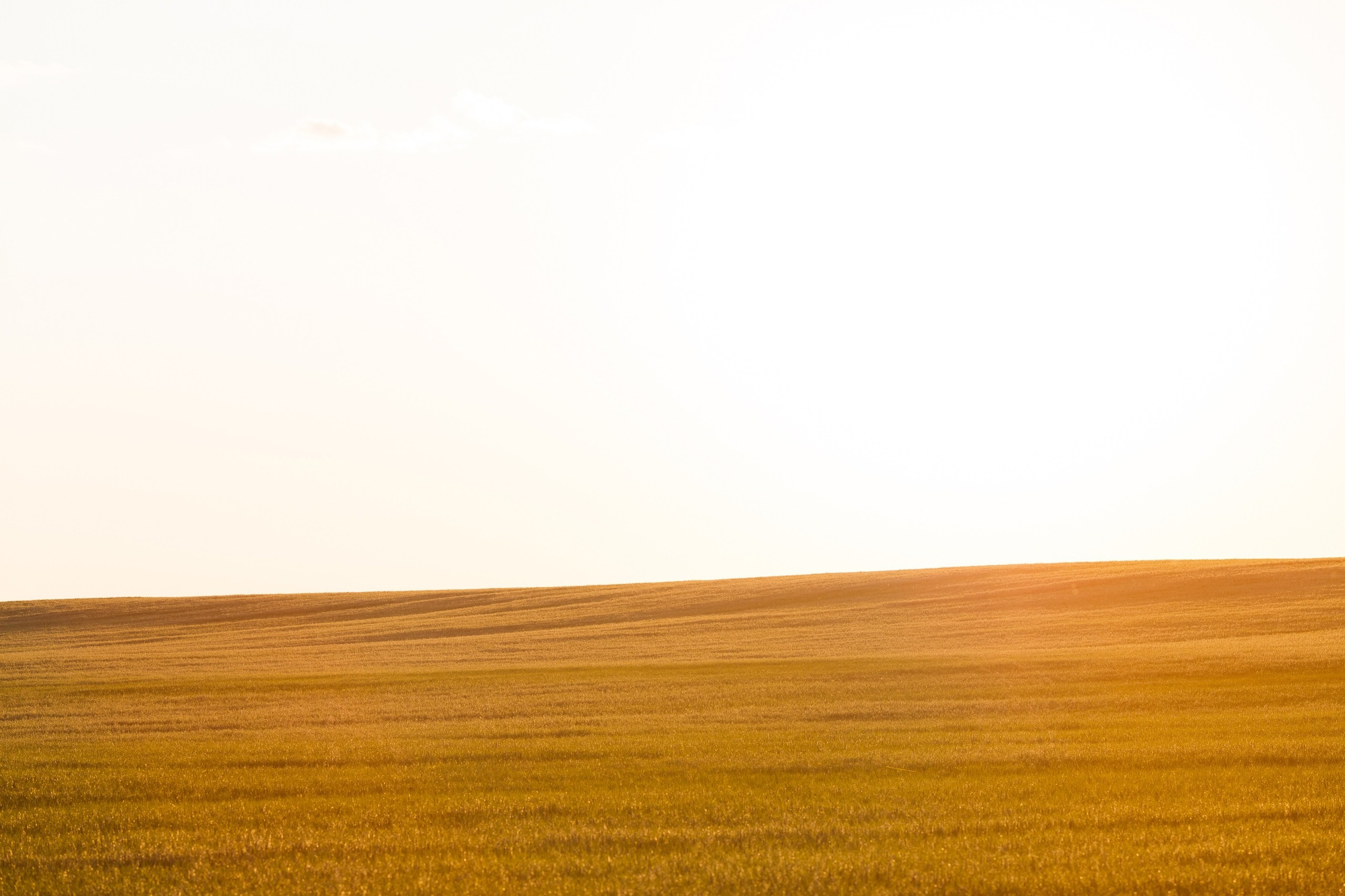 Творчество. Профессиональный фотограф Амир Закиров