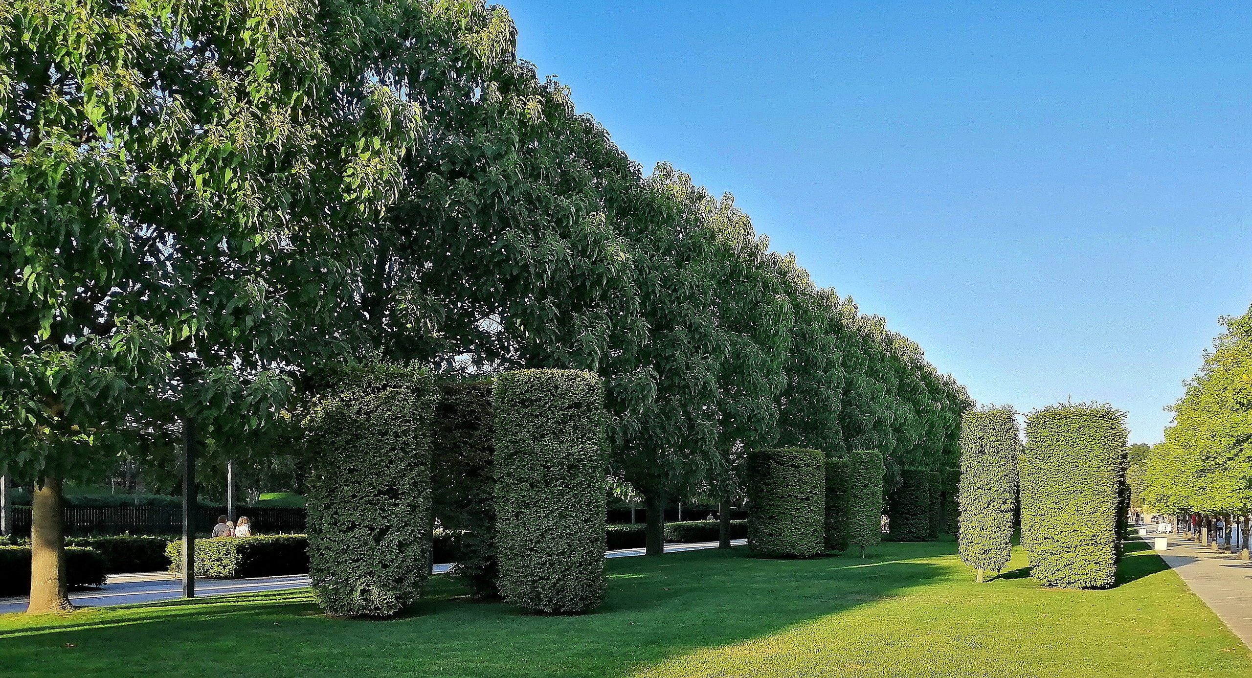Парк Краснодар (парк Галицкого). Фотограф Славянск на Кубани
