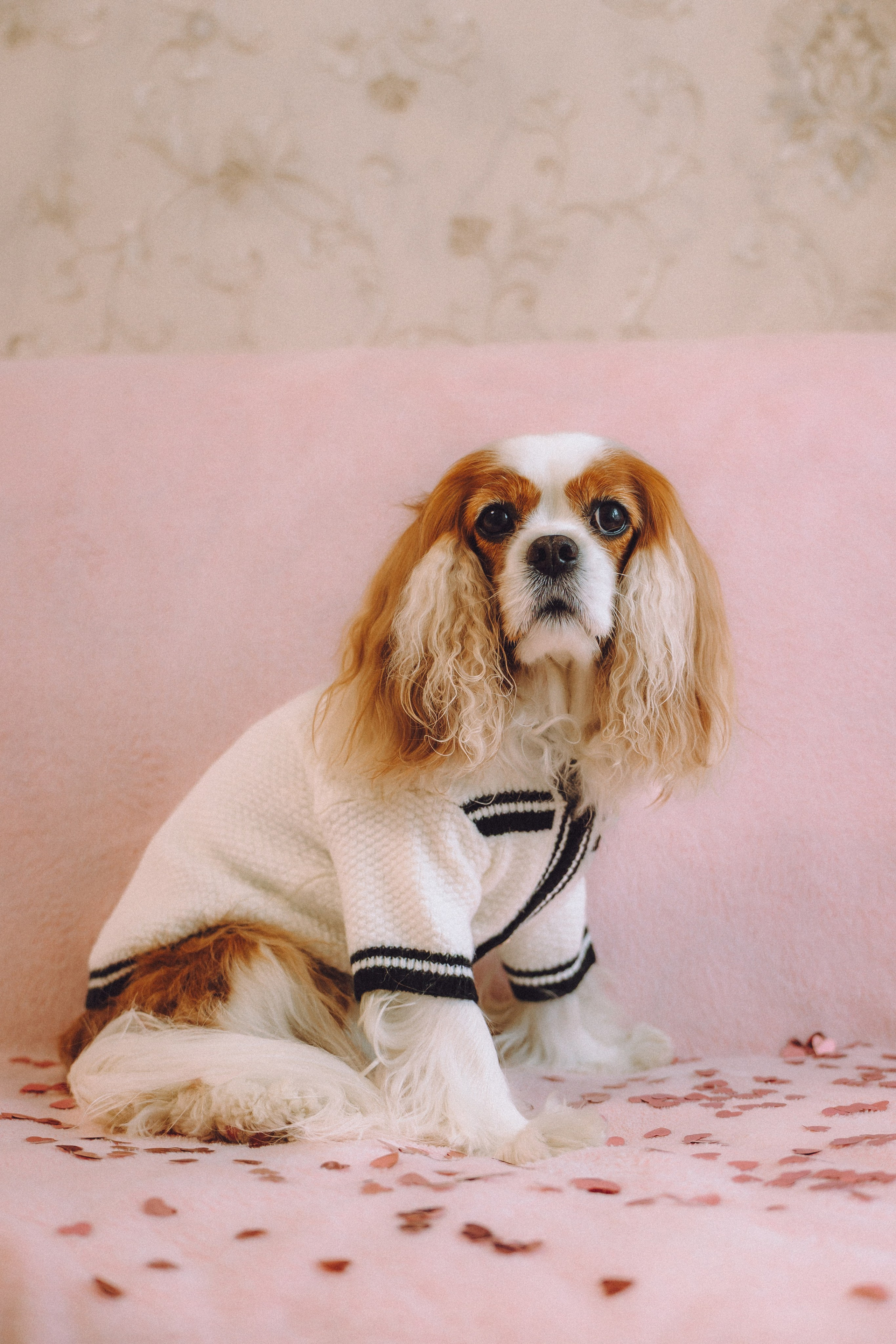 Наташа и Вики