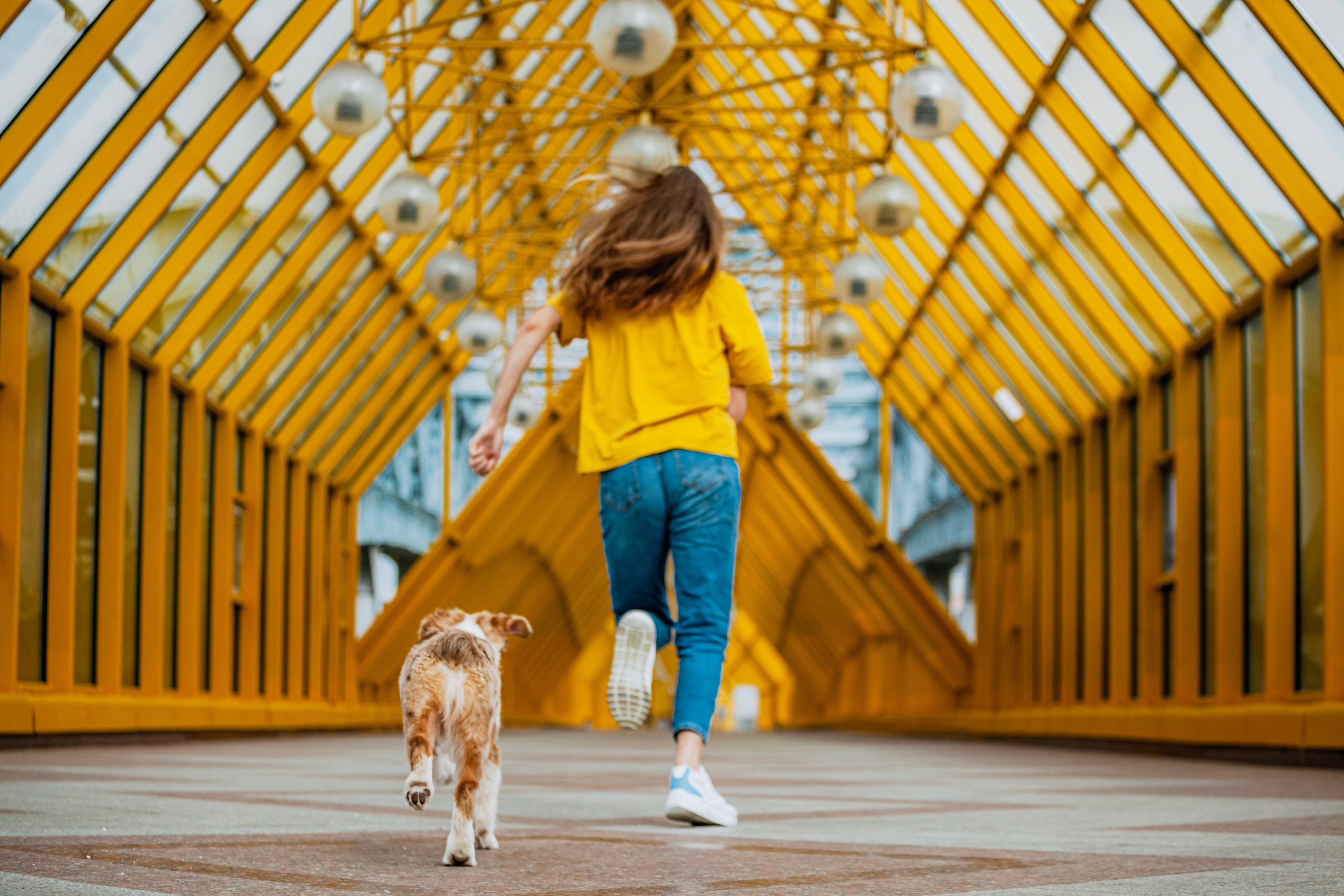 Андреевский мост. Фотограф-анималист Татьяна Степанова