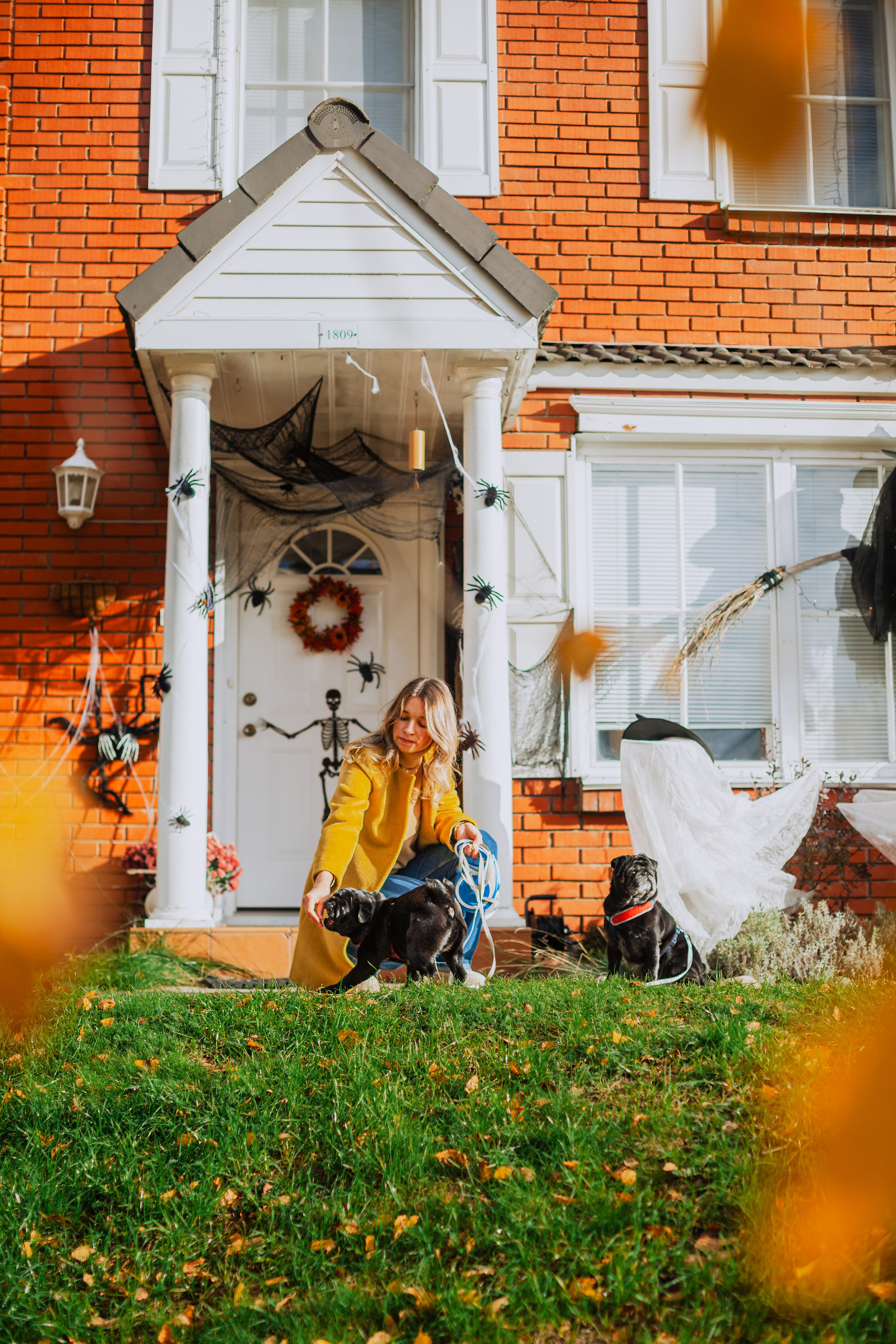Оля, Харви, Луис. Фотограф-анималист Татьяна Степанова