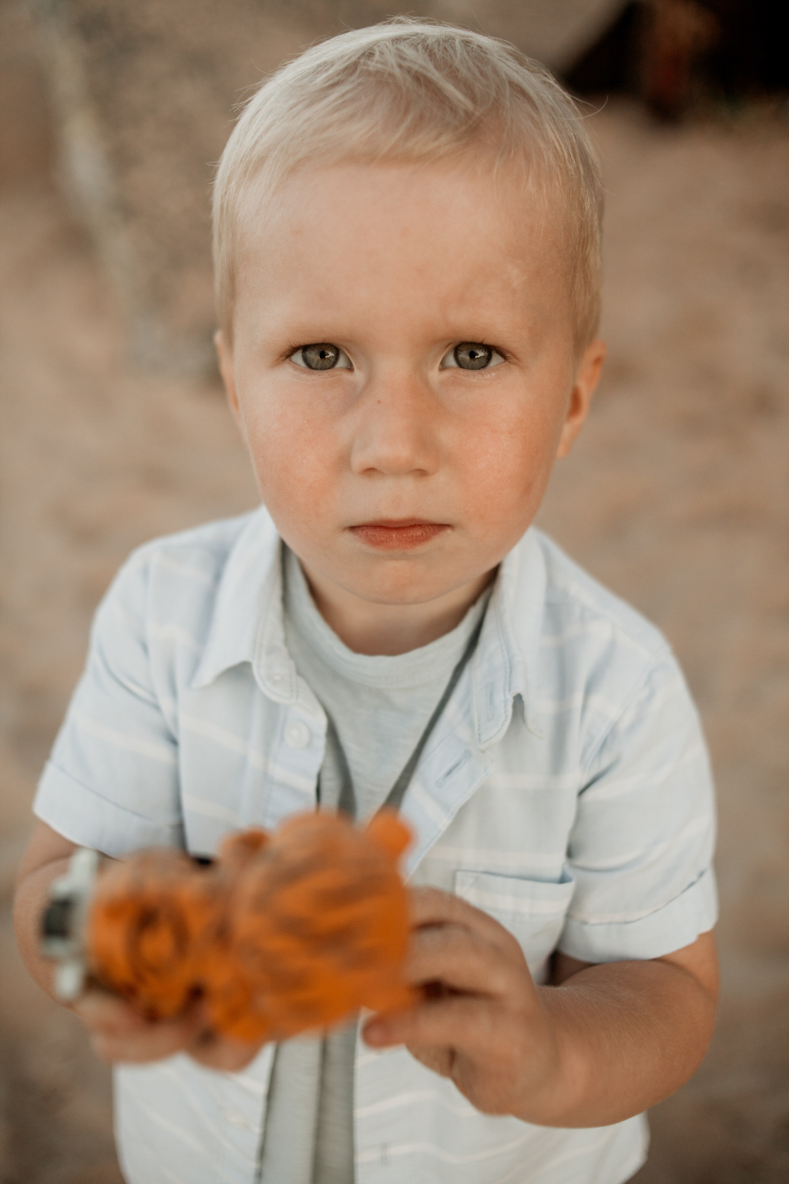 Дарья, Александр, Сава и Софи — Семейная история. Семейный фотограф во Всеволожске и Санкт-Петербурге Юлия Капустина