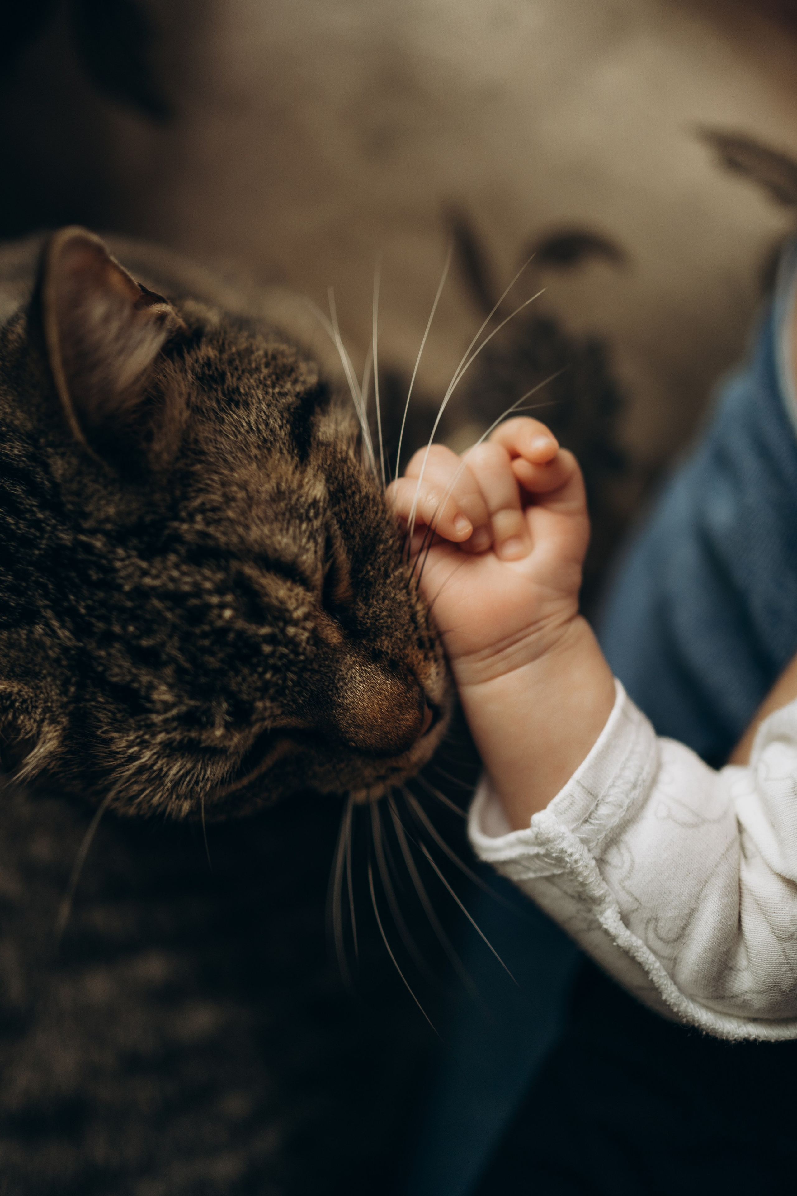 Домашние съемки. Семейный фотограф в Санкт-Петербурге Галина Налимова