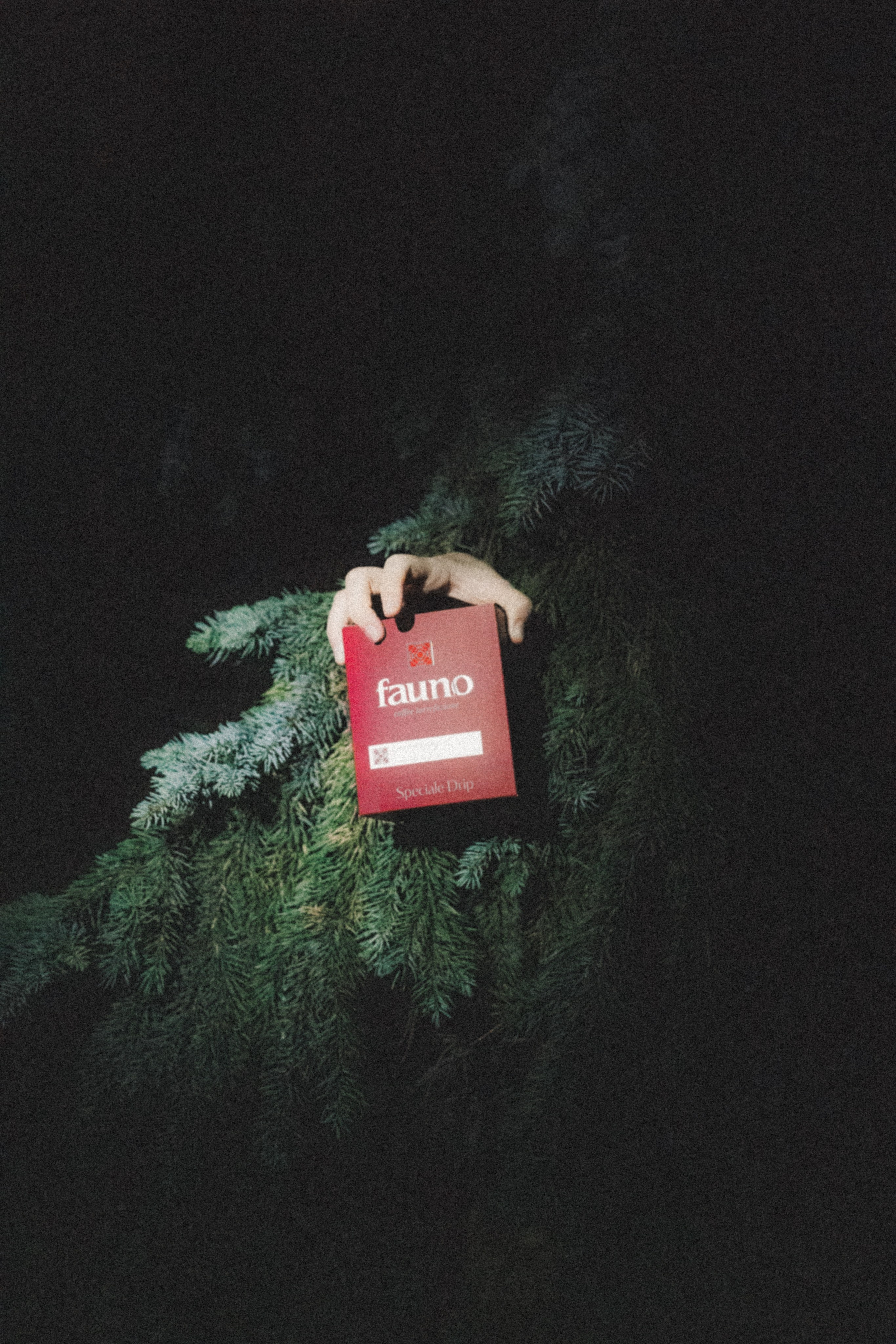 Fauno. Фотограф Илья К. в Москве