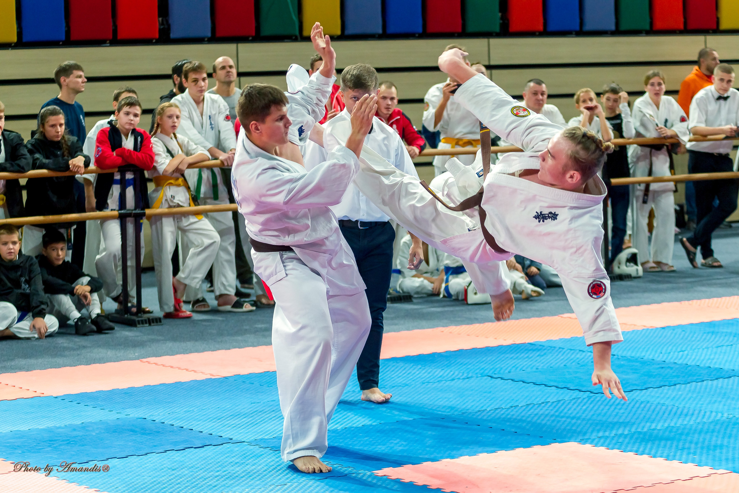 Первенство Московской области по Киокушин в СК «Жаворонки». Репортажная съемка в Москве и области. Анималистика