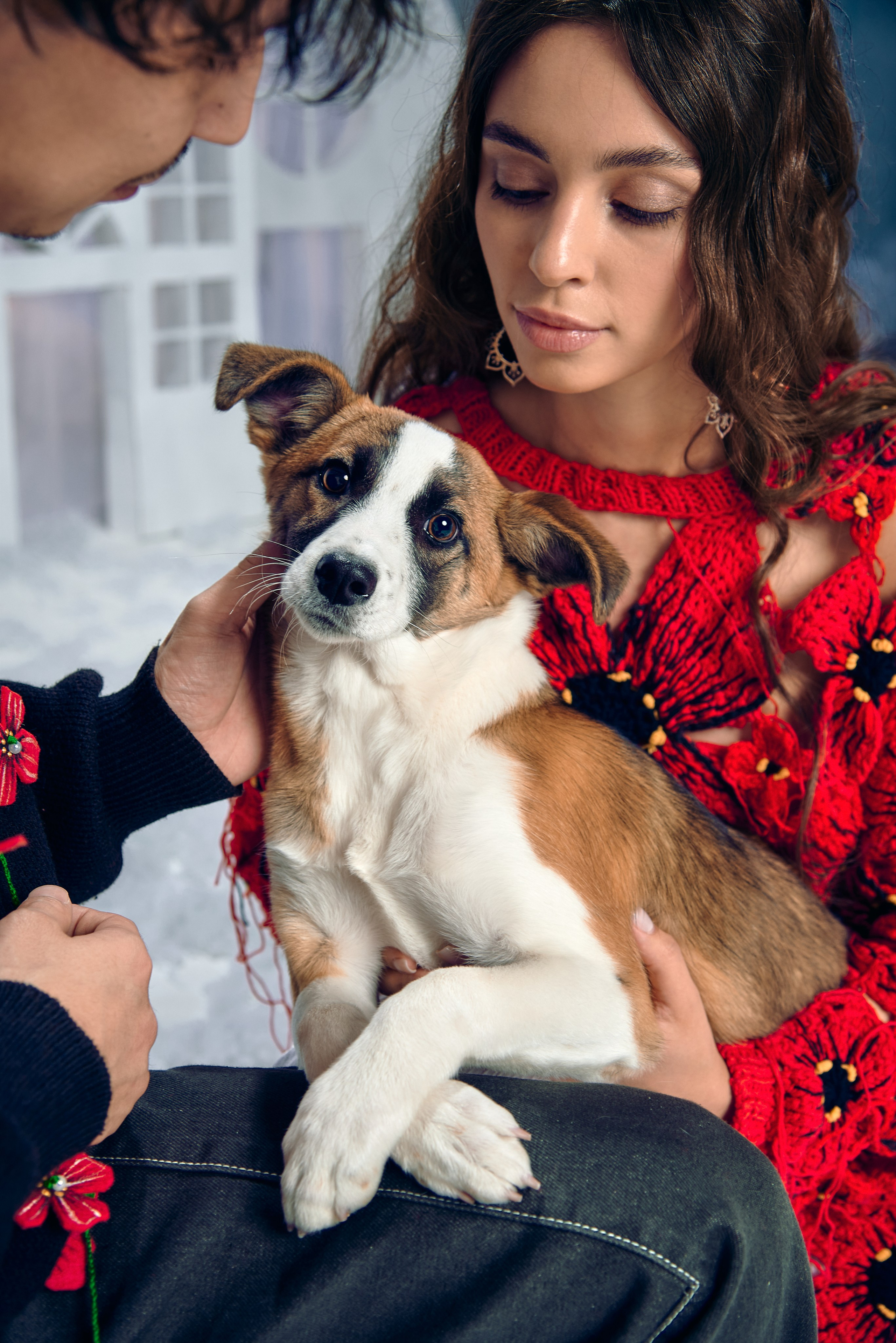 Съемка с питомцами из приюта. Фотограф Алматы Ольга Photodooshy