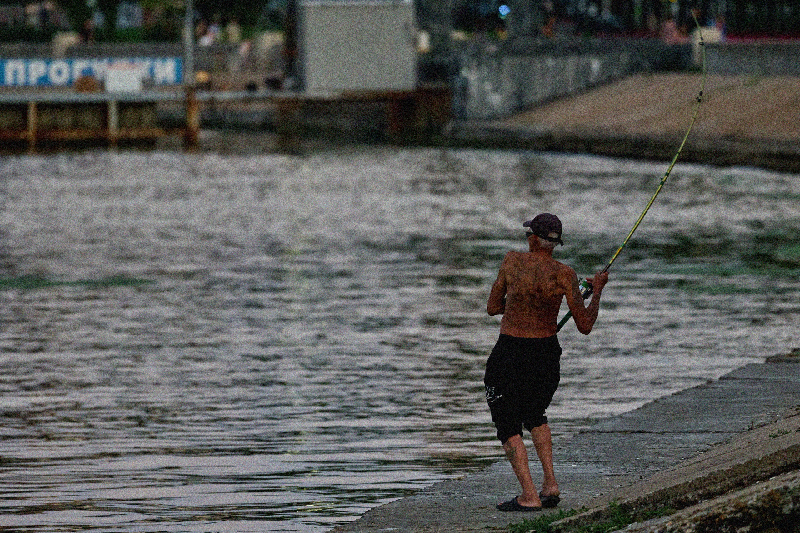 Жизнь, люди, стрит, вокруг, животные, на улице. Яркие фото на Чёрном море