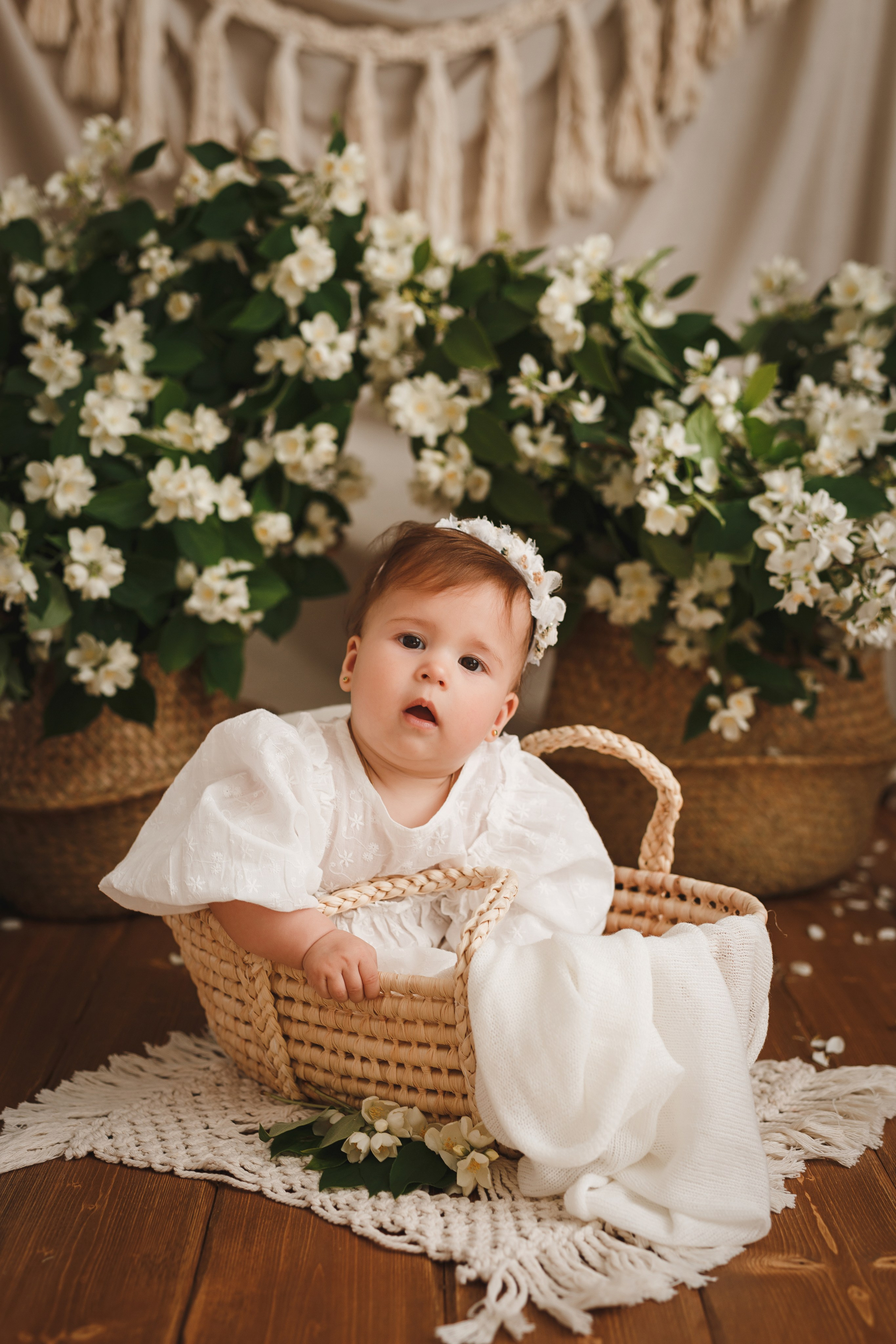 Фотопроекты. Профессиональная детская и семейная фотостудия в Краснодаре