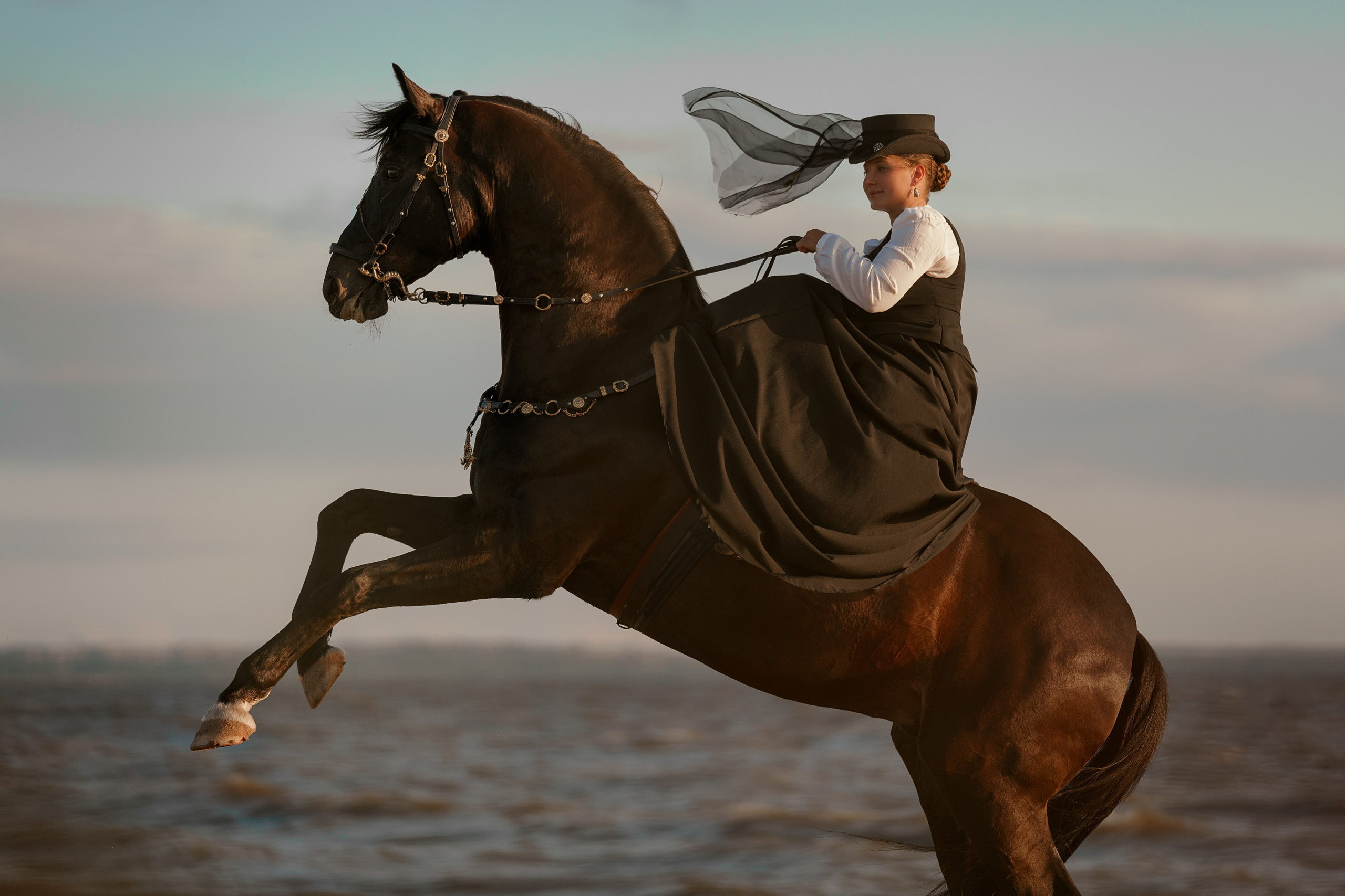 Фотосессии с лошадьми. Фотограф Артемьева Катерина|фотосессии с лошадьми