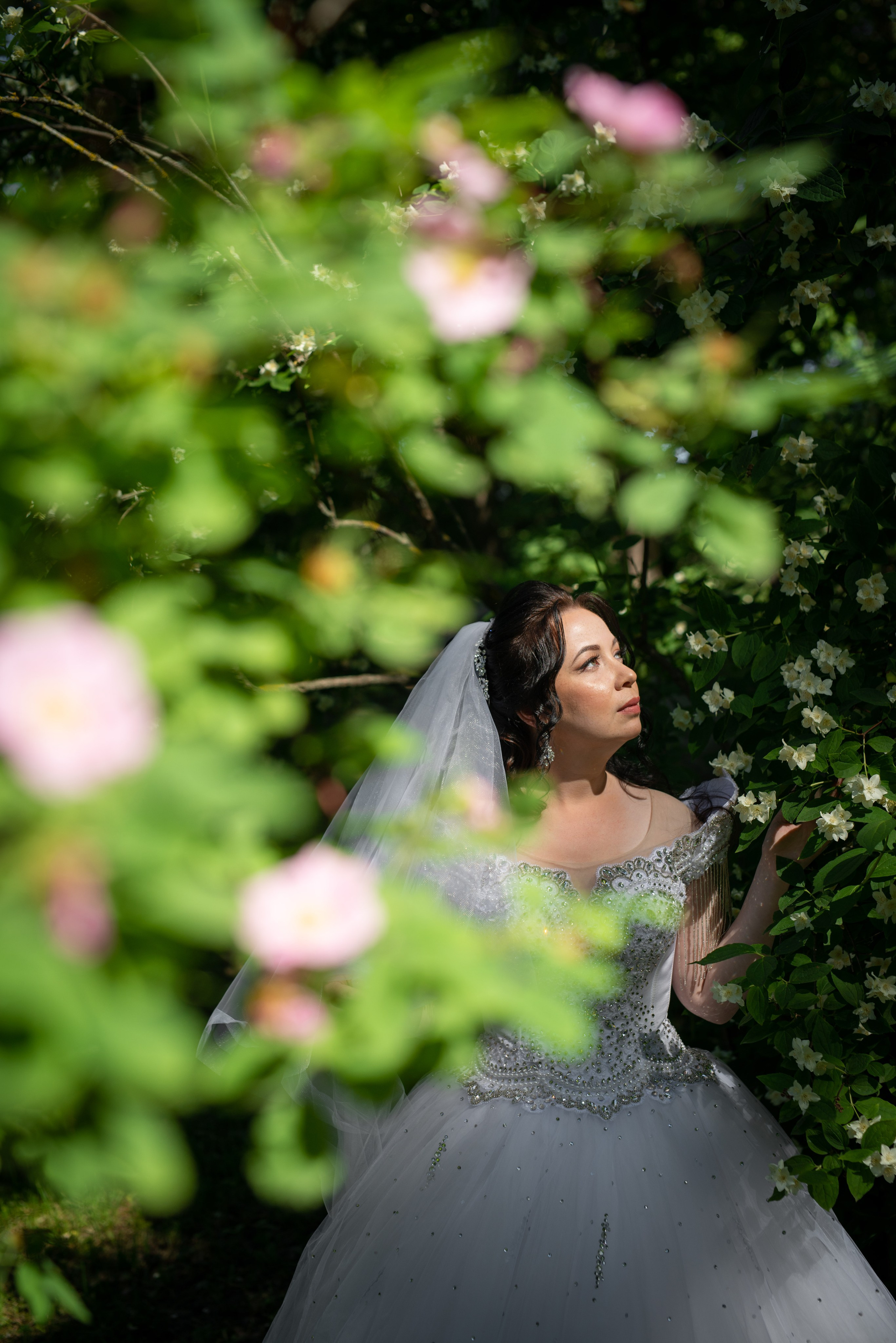 Фотосессия в Пушкине в Александровском, Екатерининском парке и Летнем саду. Портретный, семейный и свадебный фотограф в Санкт-Петербурге и в Пушкине Ширяев Денис