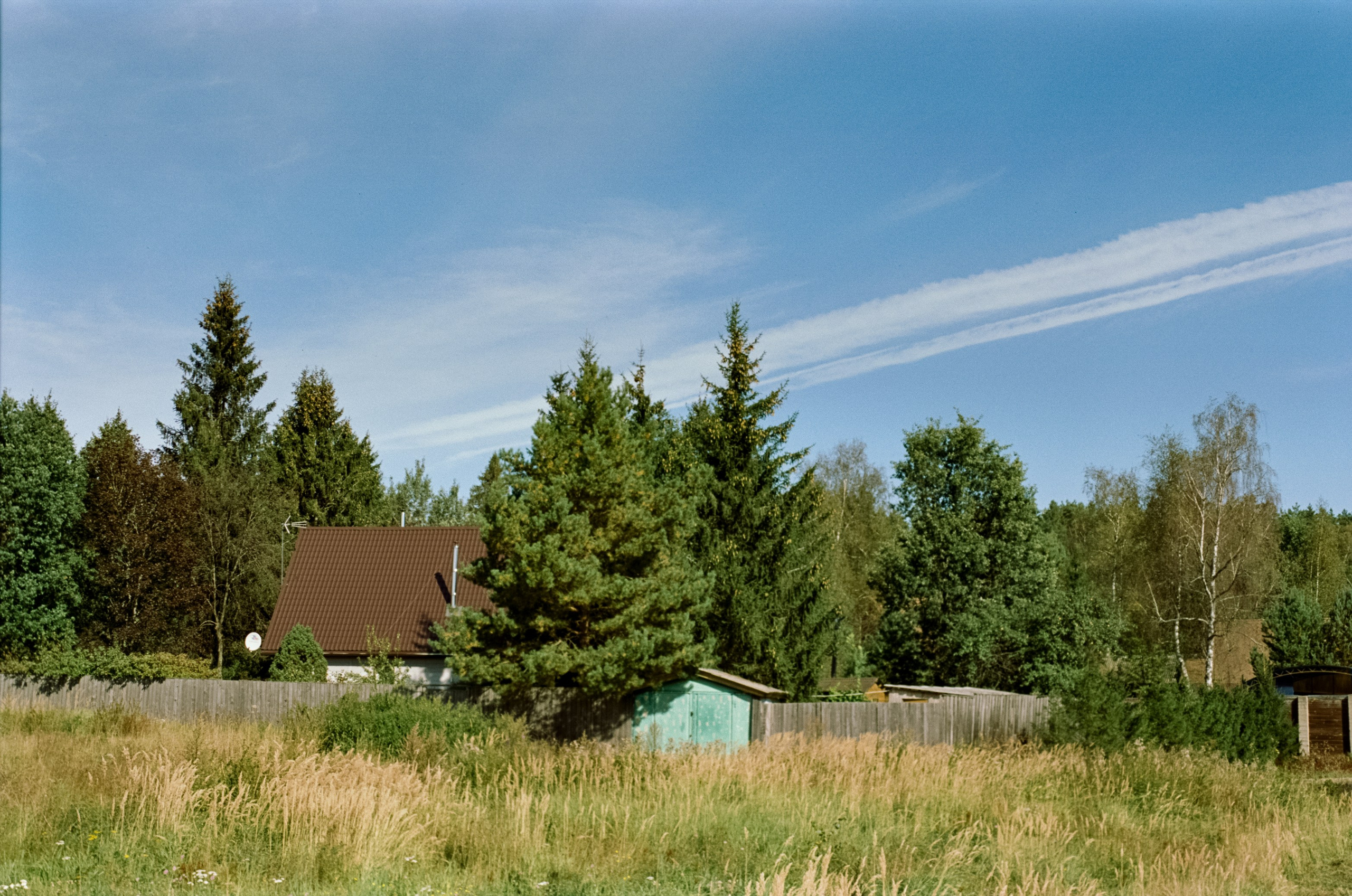 Mamiya 645 PRO обзор и примеры фотографий