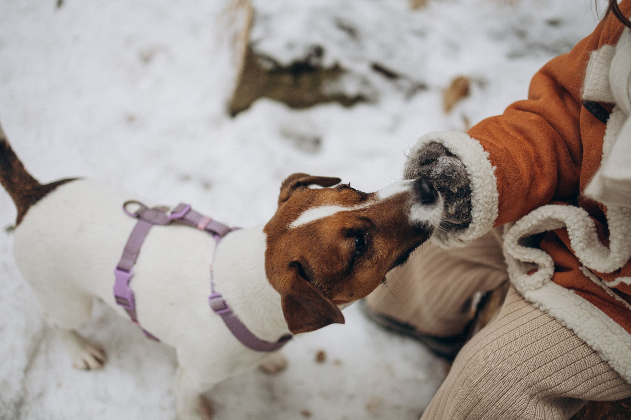 Зимняя прогулка. Семейный фотограф в Москве Валерия Карпова