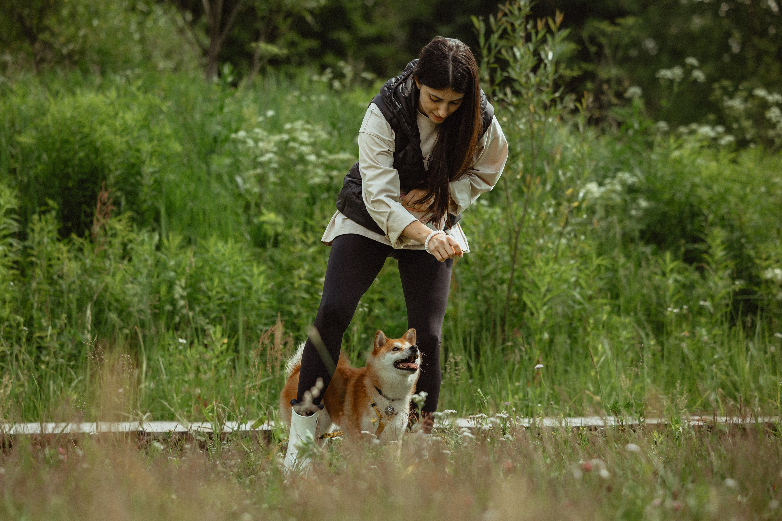 Выездной дог-тренинг от школы «Шерсть имею»