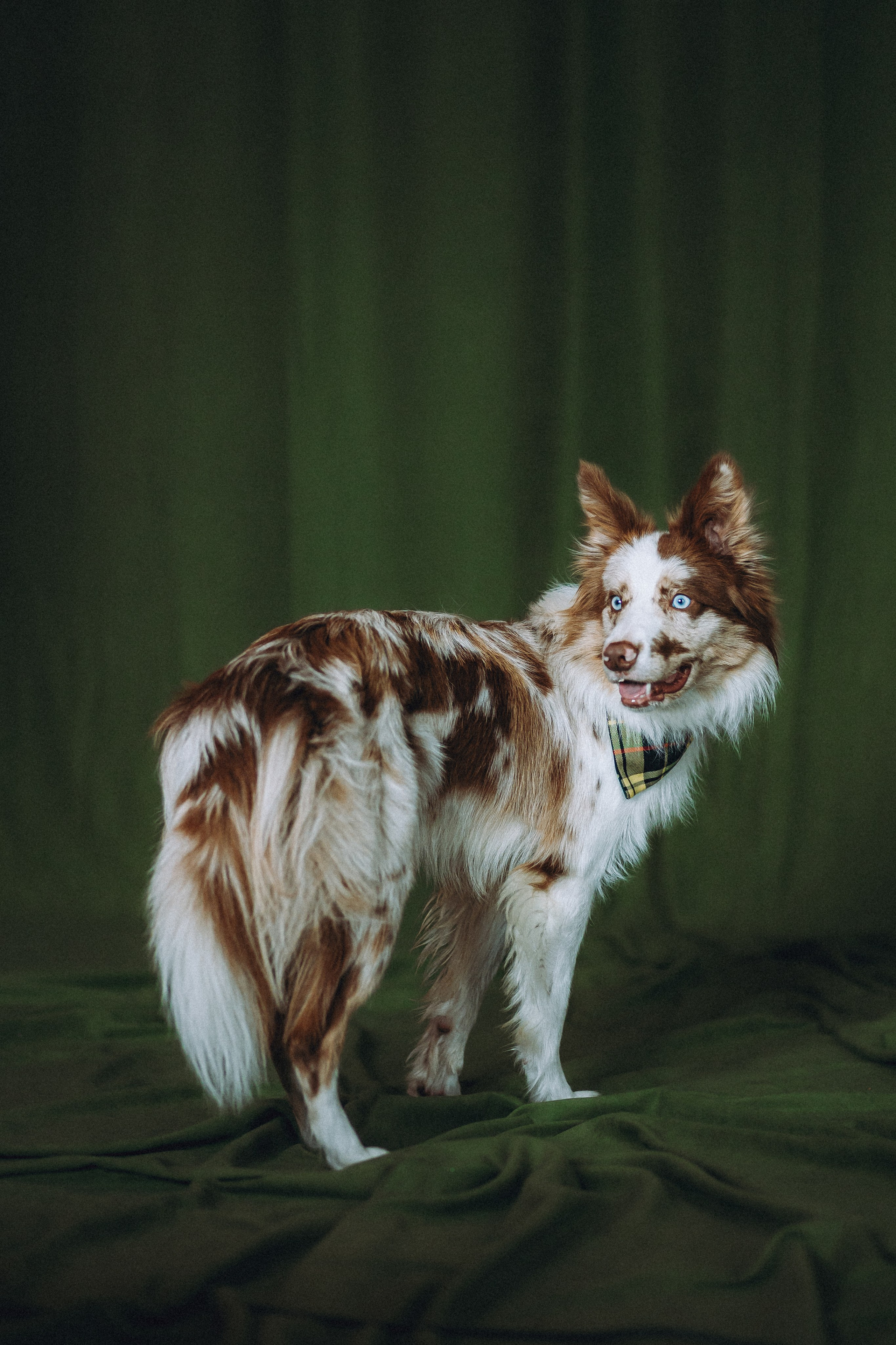 День рождения Айко