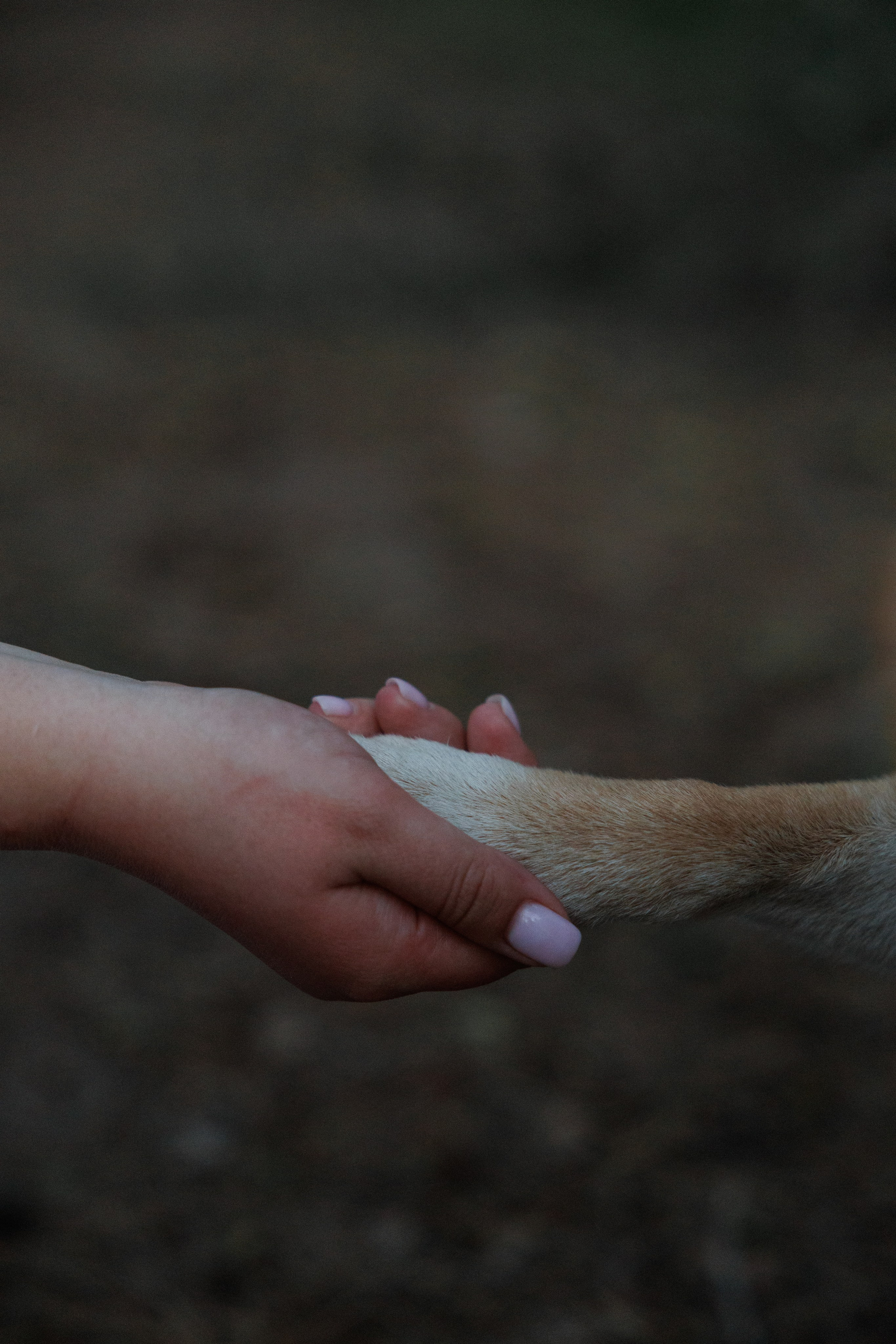Сережа, Маша и Шон. Привет! Меня зовут Лера, я фотограф в Нижнем Новгороде