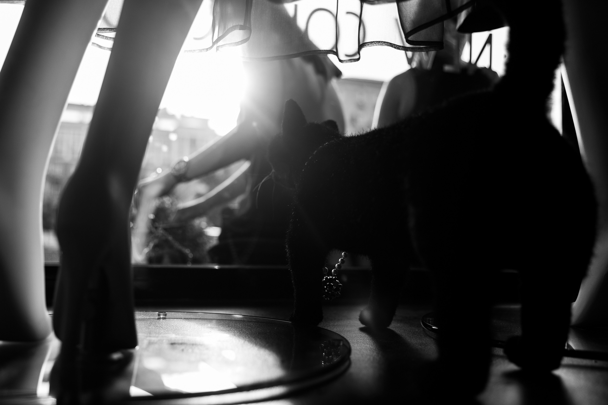 Магический девичник с Ольгой Якубович. Репортажный Фотограф Александр Назаров. Москва и М.О