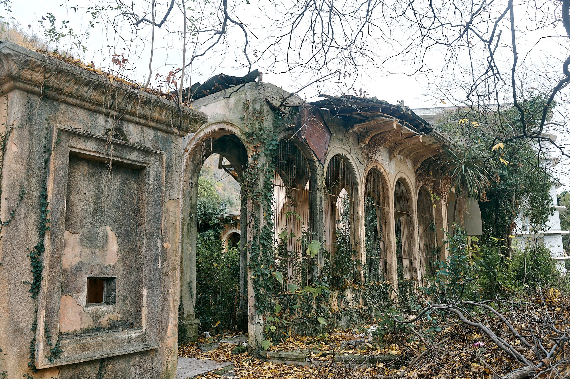 Гагра, Абхазия. Декабрь 2024. Фотографии отовсюду и обо всем