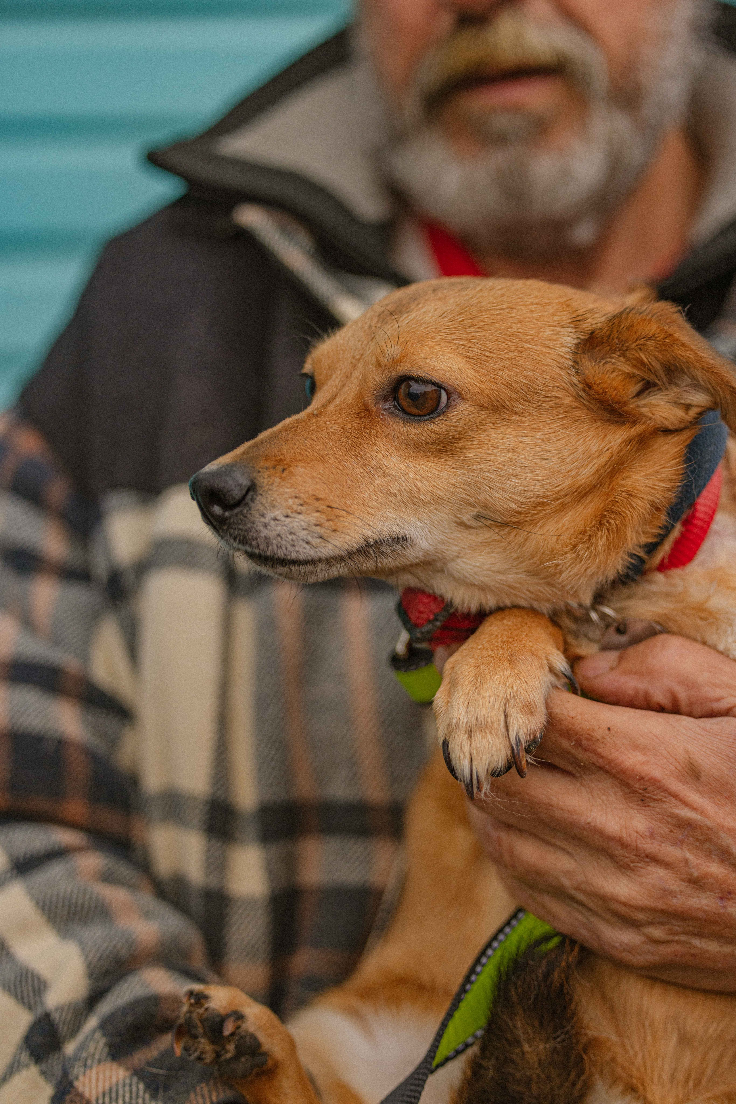 Передержка. Фотограф-анималист в Москве Лера Черноног