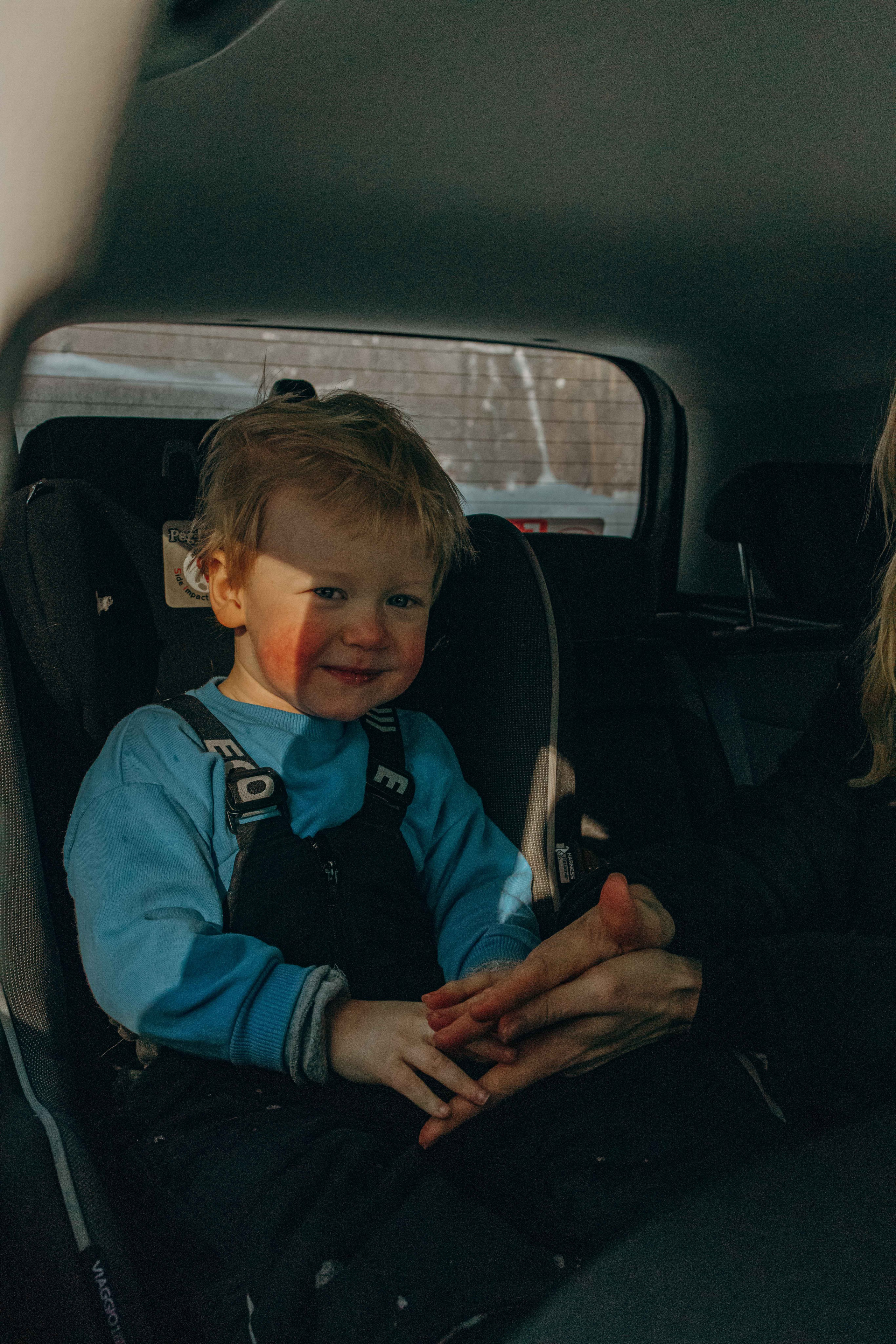 Свобода и ее семья. Фотограф-анималист в Москве Лера Черноног