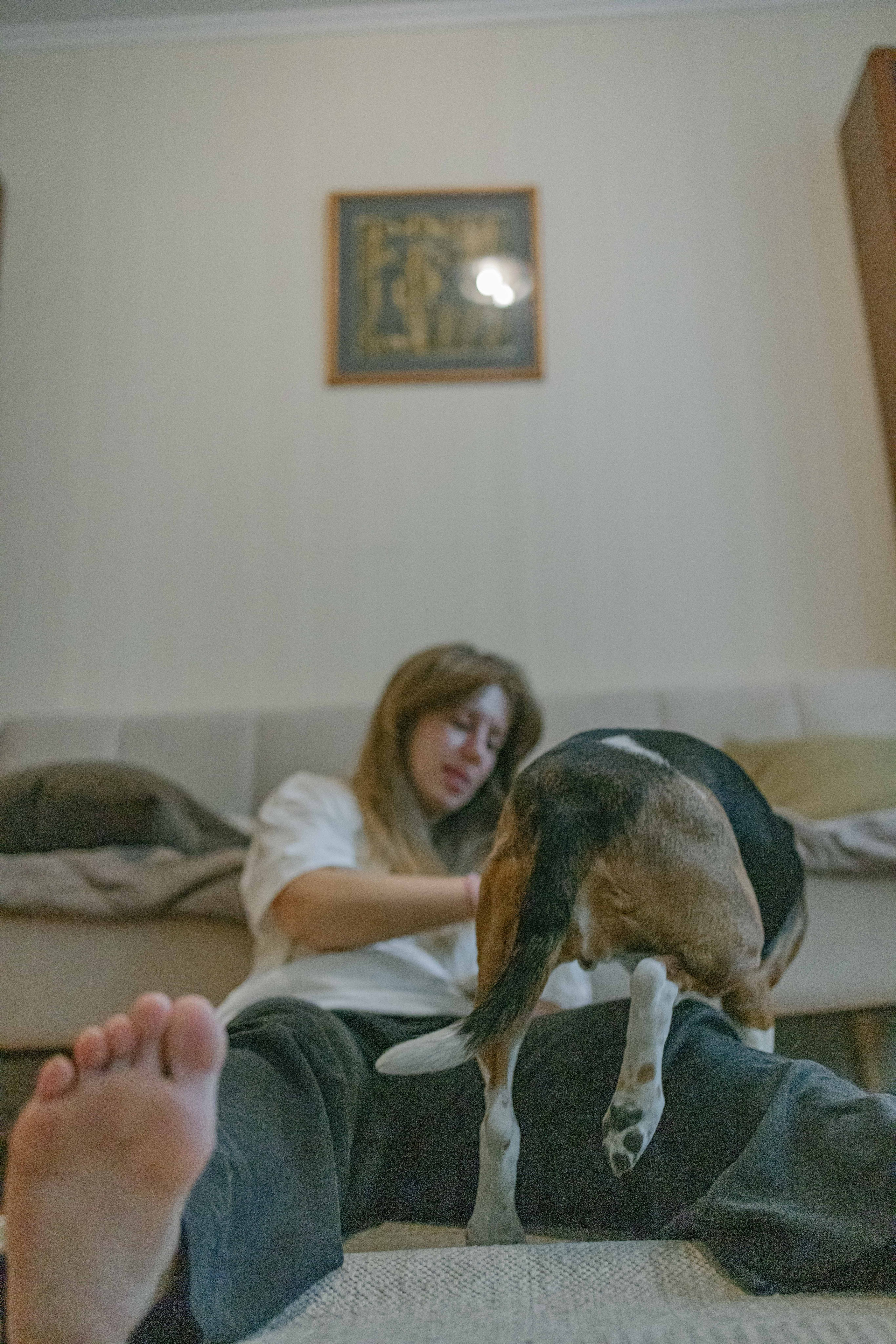 Света и Ива. Фотограф-анималист в Москве Лера Черноног