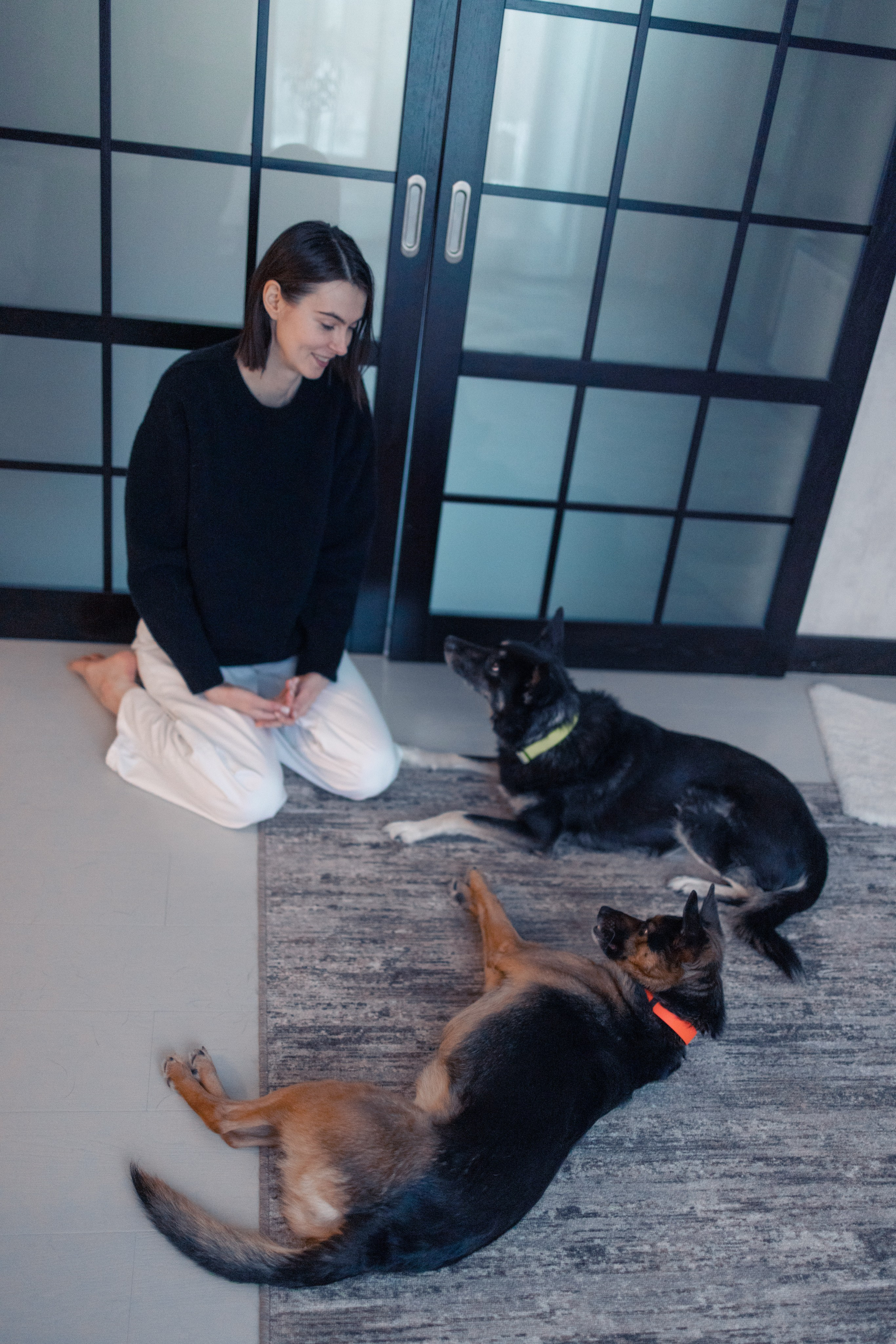 Ника, Матиша и Герда. Фотограф-анималист в Москве Лера Черноног