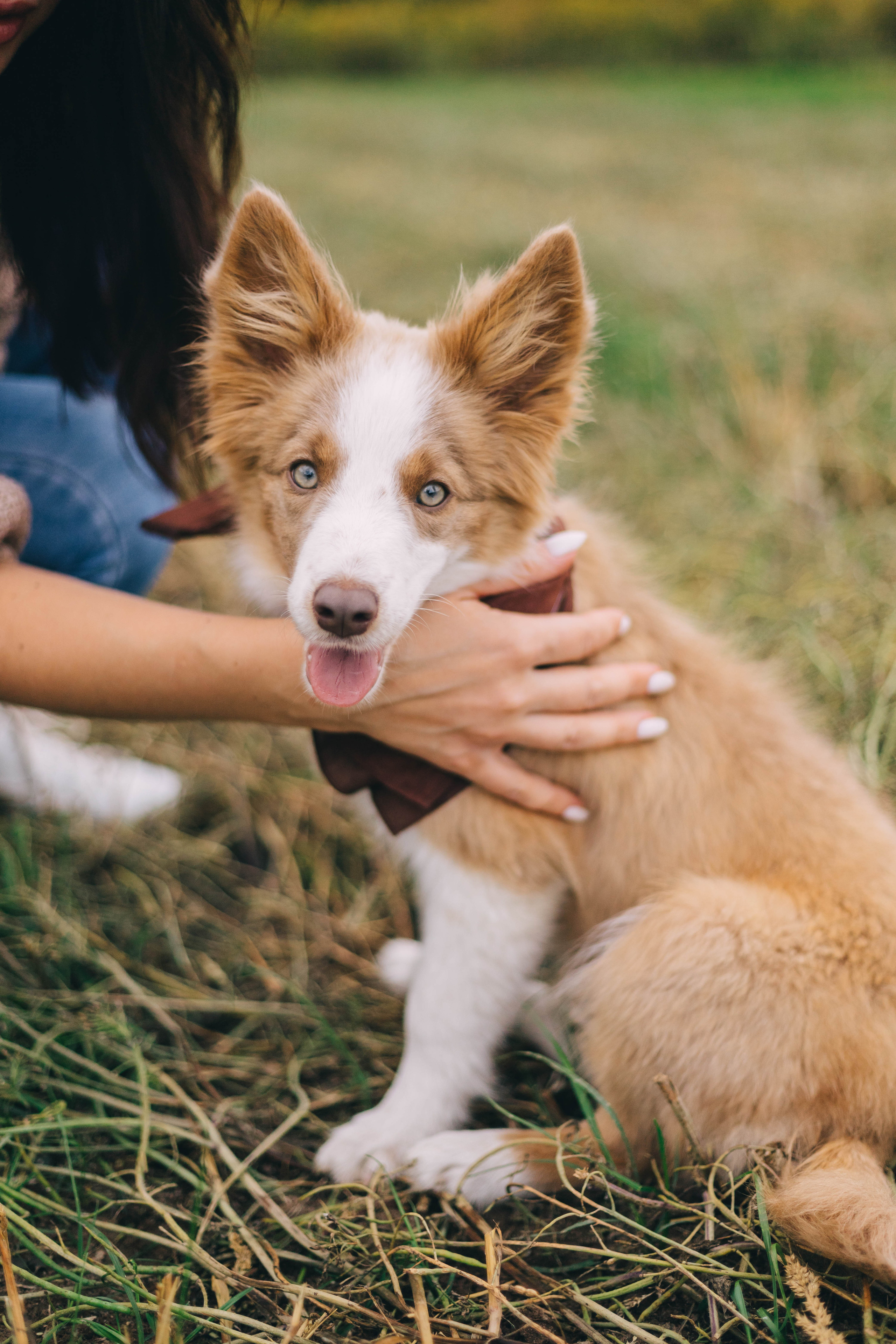 Илья, Настя и Луна. Свадебный фотограф Москва Татьяна Кундельчук