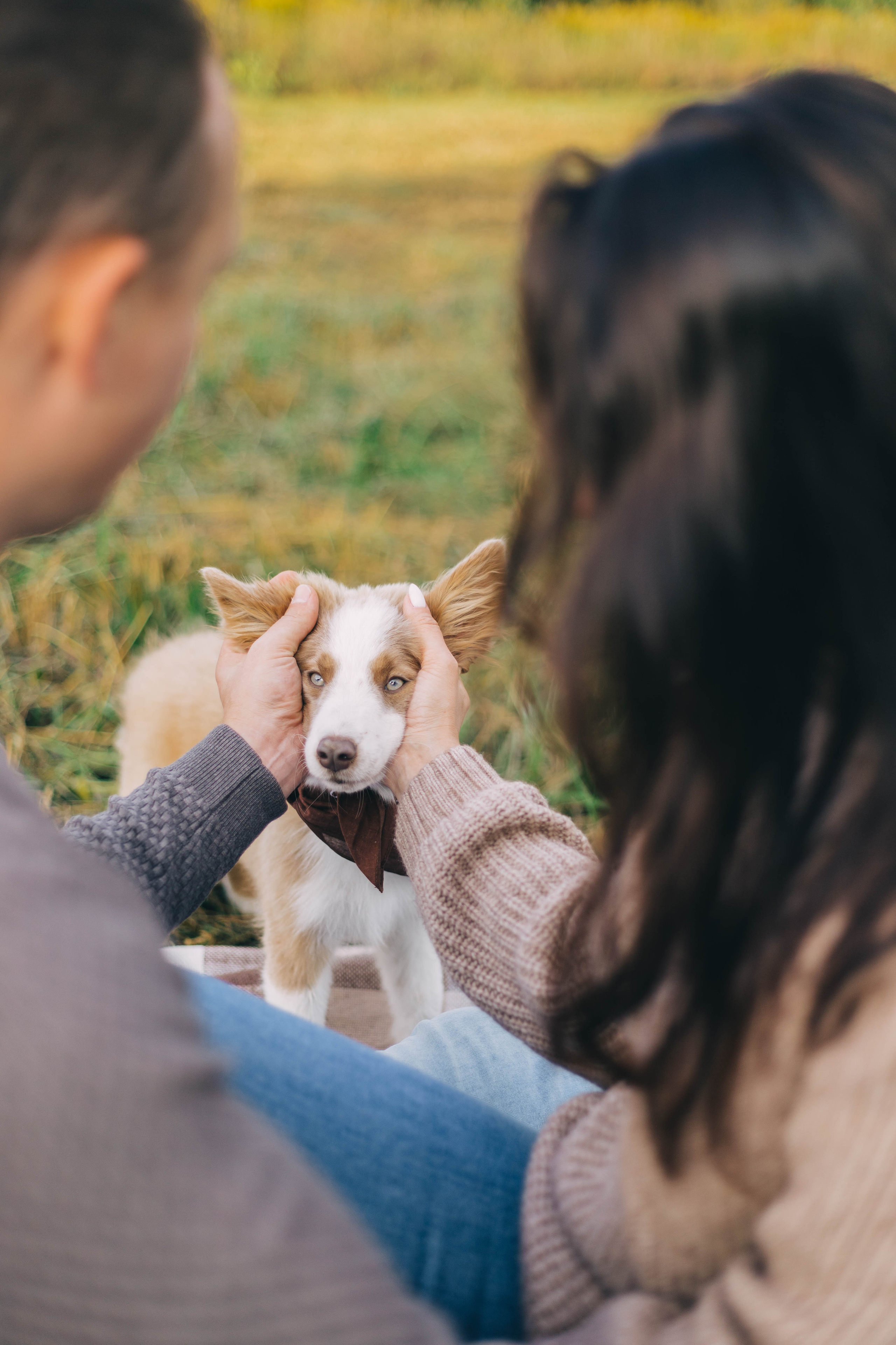 Илья, Настя и Луна. Свадебный фотограф Москва Татьяна Кундельчук