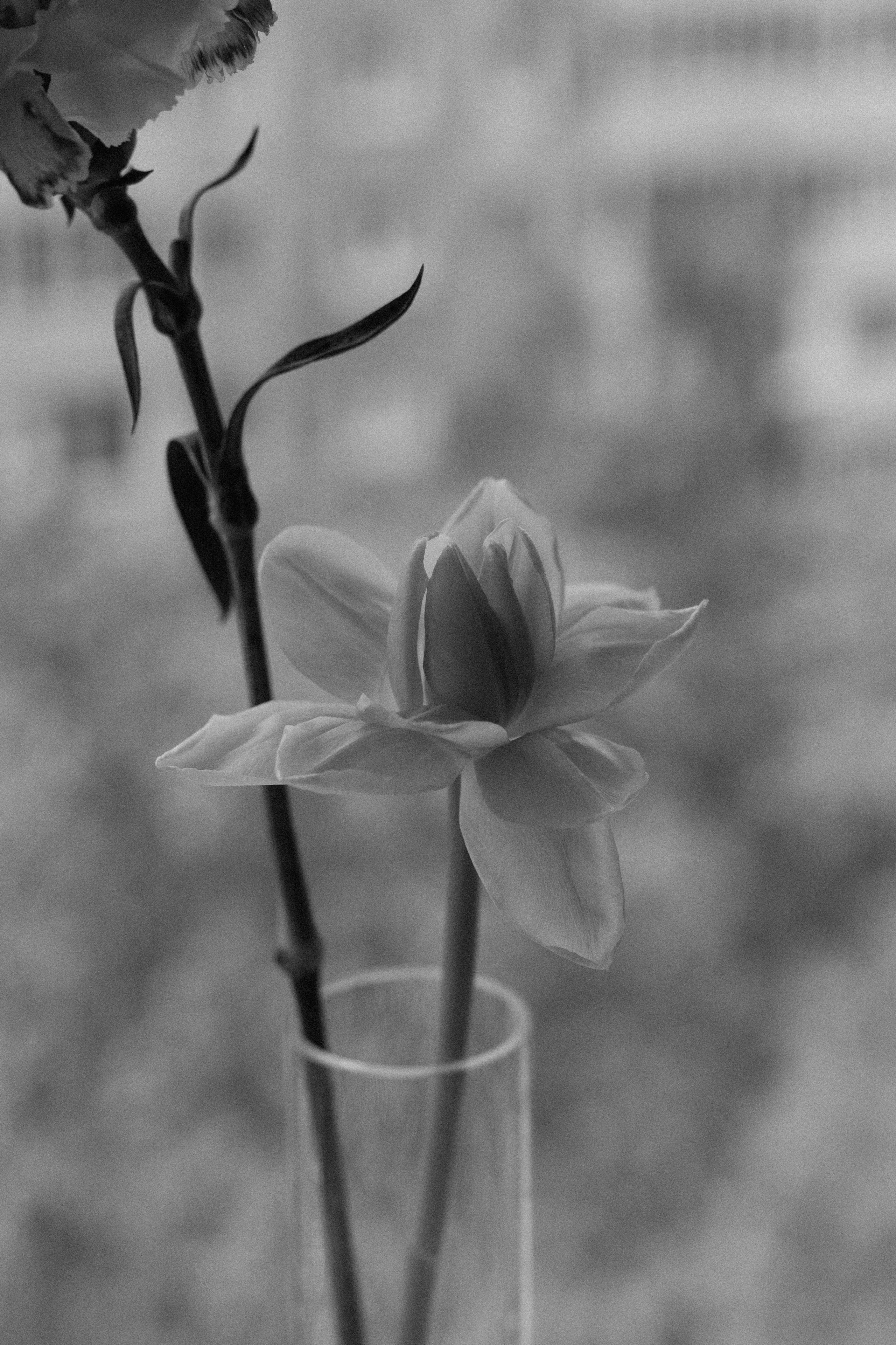 Ирина. Свадебный фотограф Москва Татьяна Кундельчук