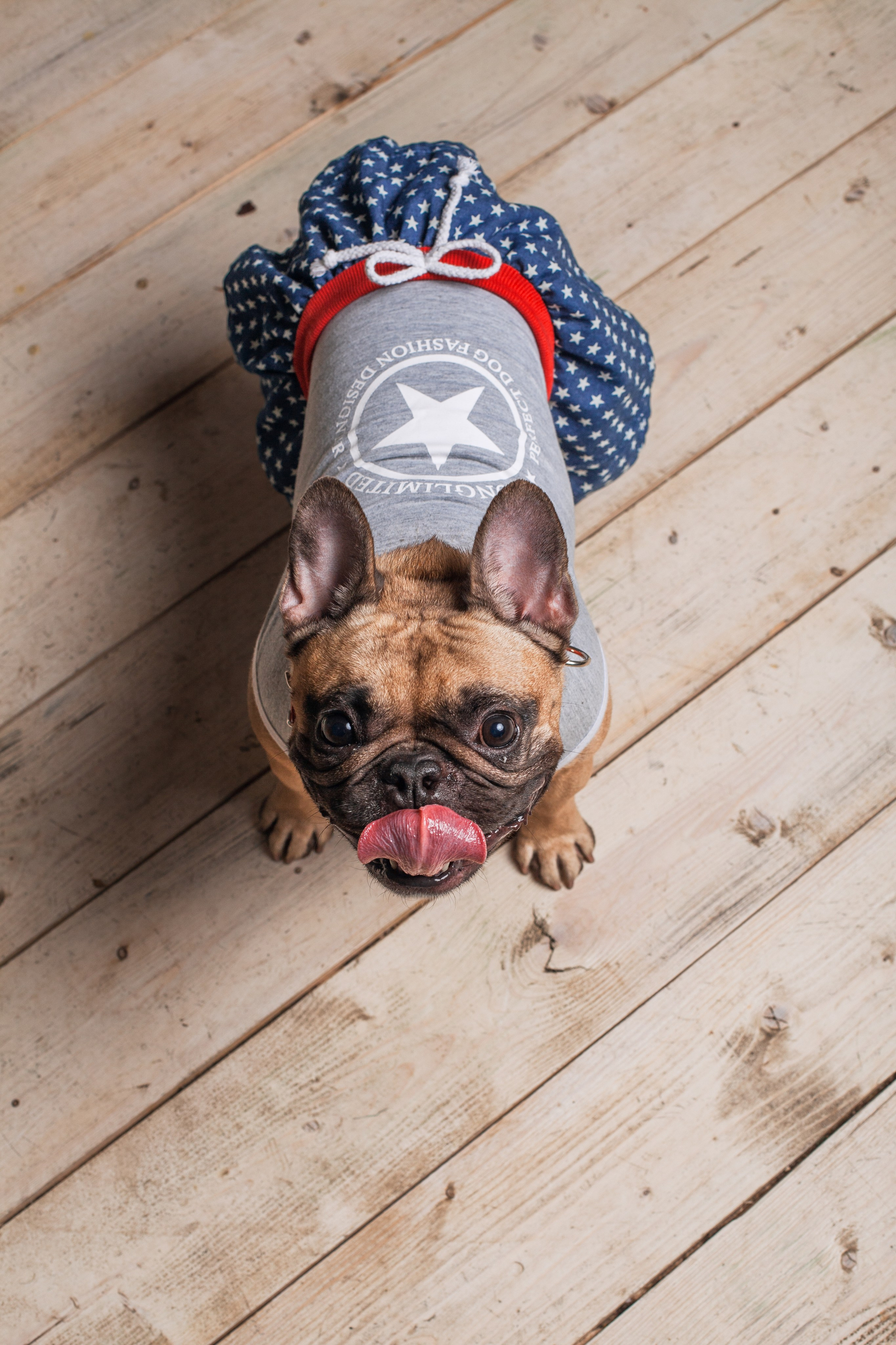 Наталья и Фрося. Фотограф-анималист Татьяна Степанова