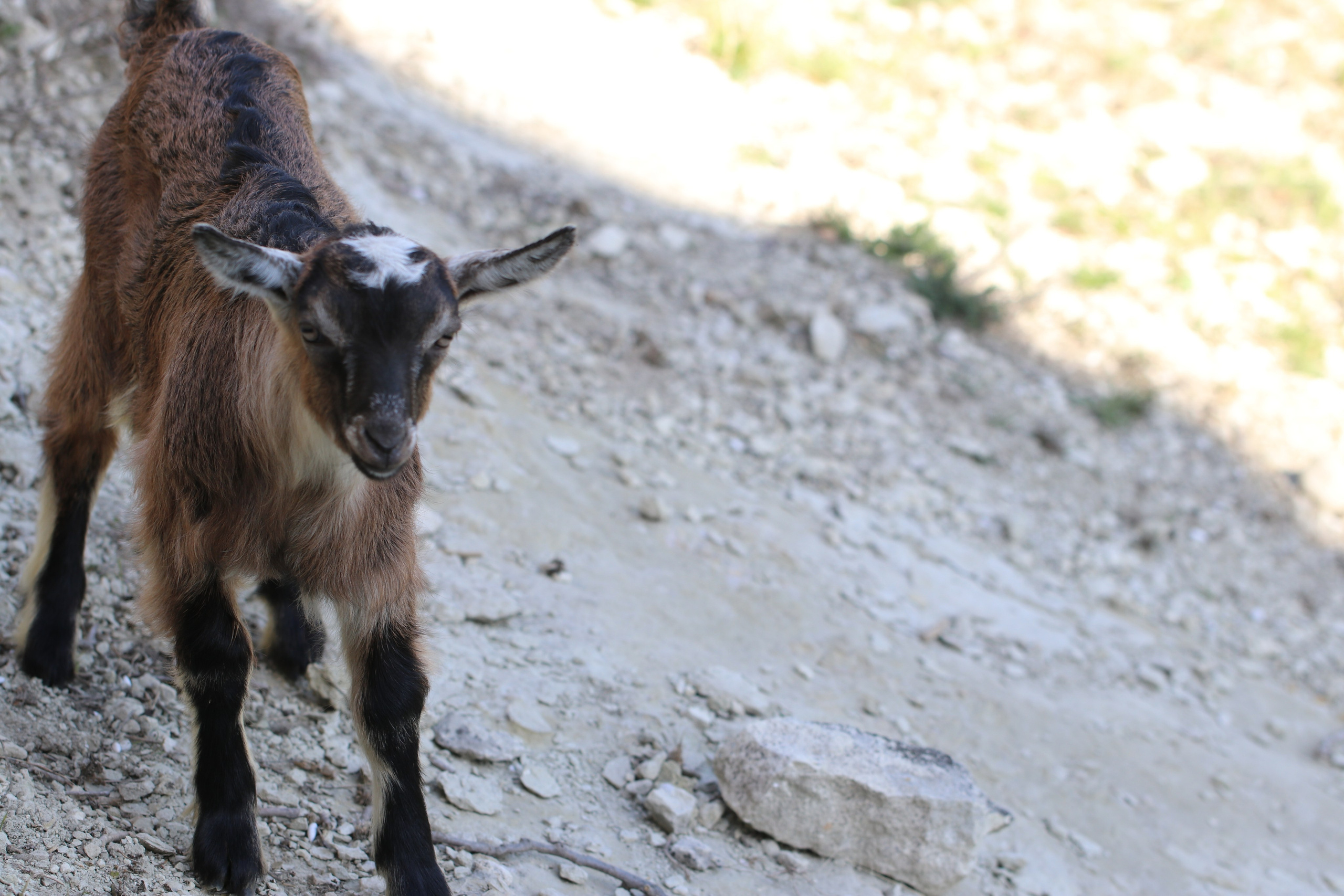 Крым. ЮБК (Бахчисарай, Кастрополь, Таракташская тропа). Май 2021. Путешественник-фотограф из Санкт-Петербурга Татьяна Свистулина