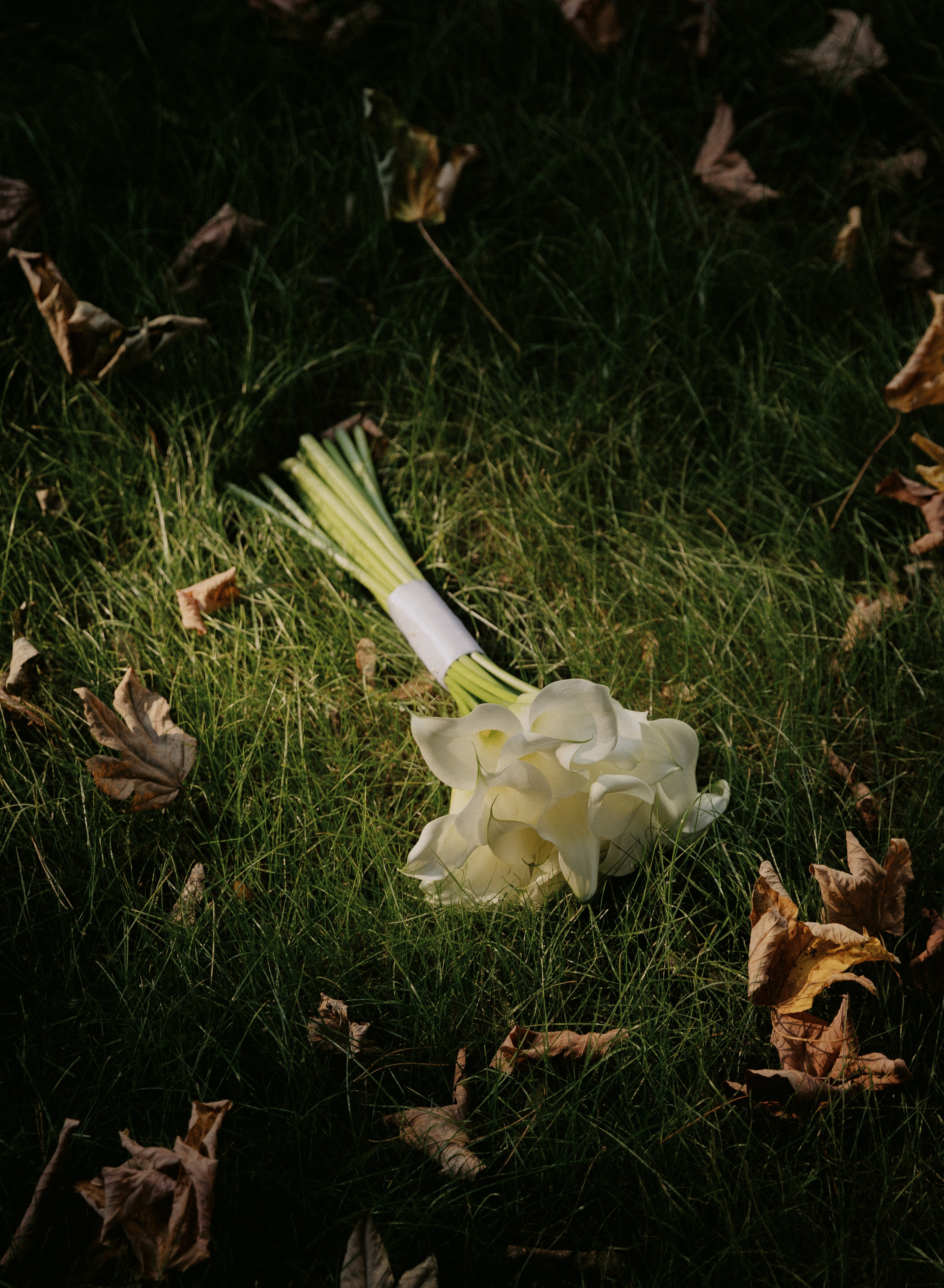 Мария и Дмитрий. Свадебный и портретный фотограф в Калининграде и Москве Марк Юдинцев