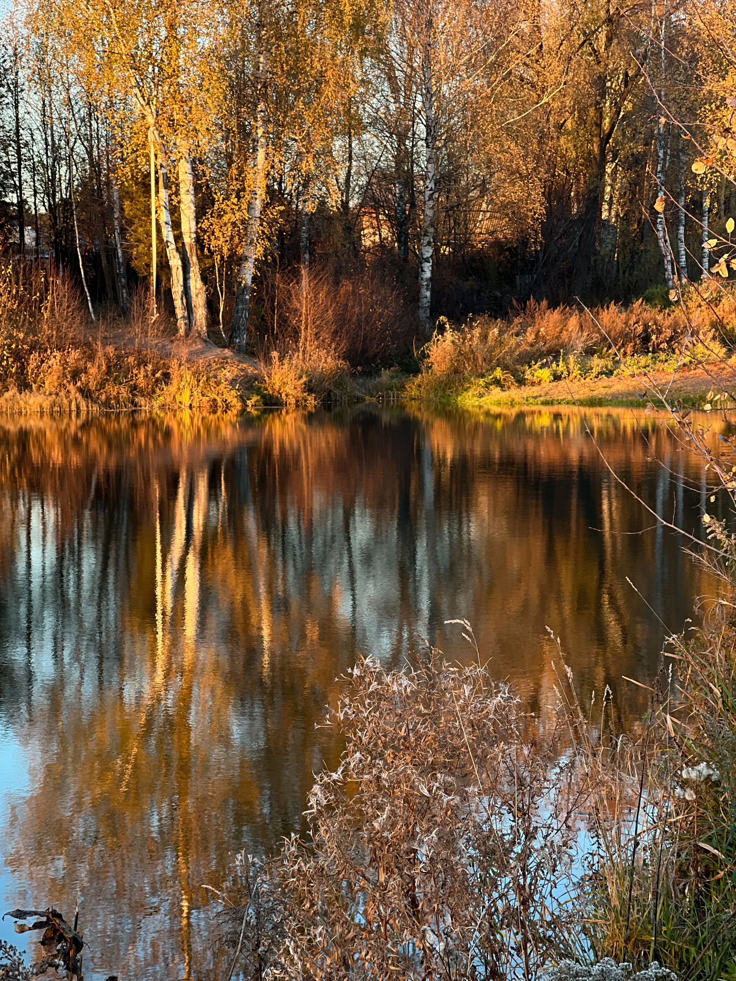 Пресеты. Алёна Стерхова — Предметный и портретный фотограф. Ижевск