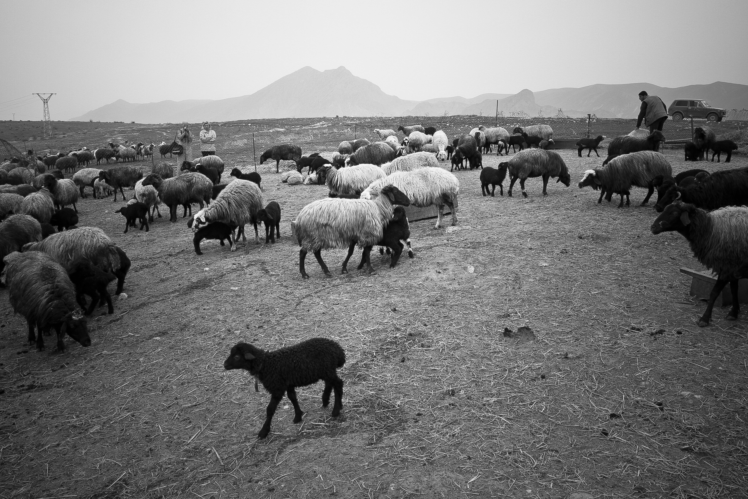 Армения. Двадцать лет спустя. Репортажный фотограф во Всеволожске и Санкт-Петербурге Владимир Капустин